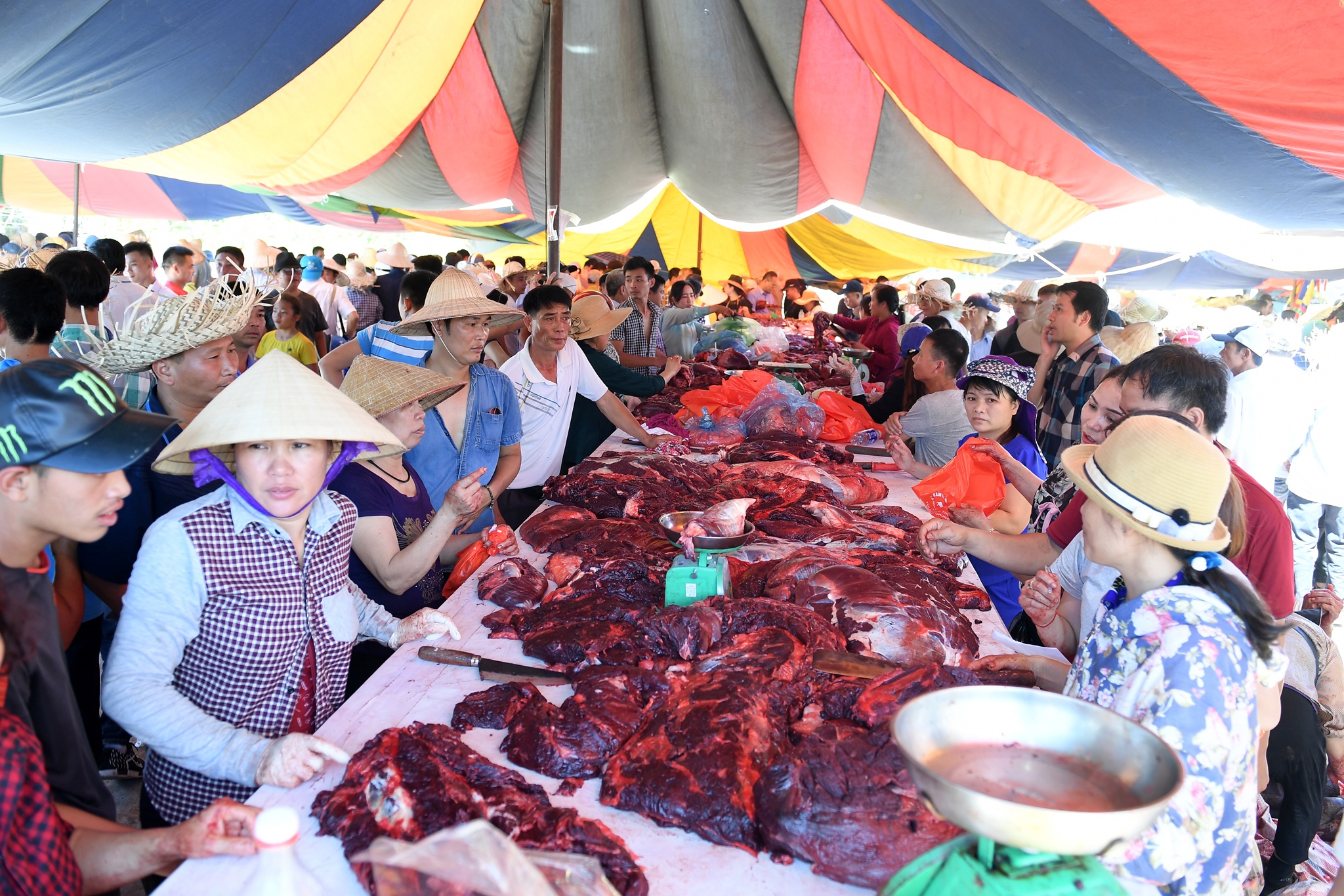 tinh huong bi hai le hoi choi trau anh 13