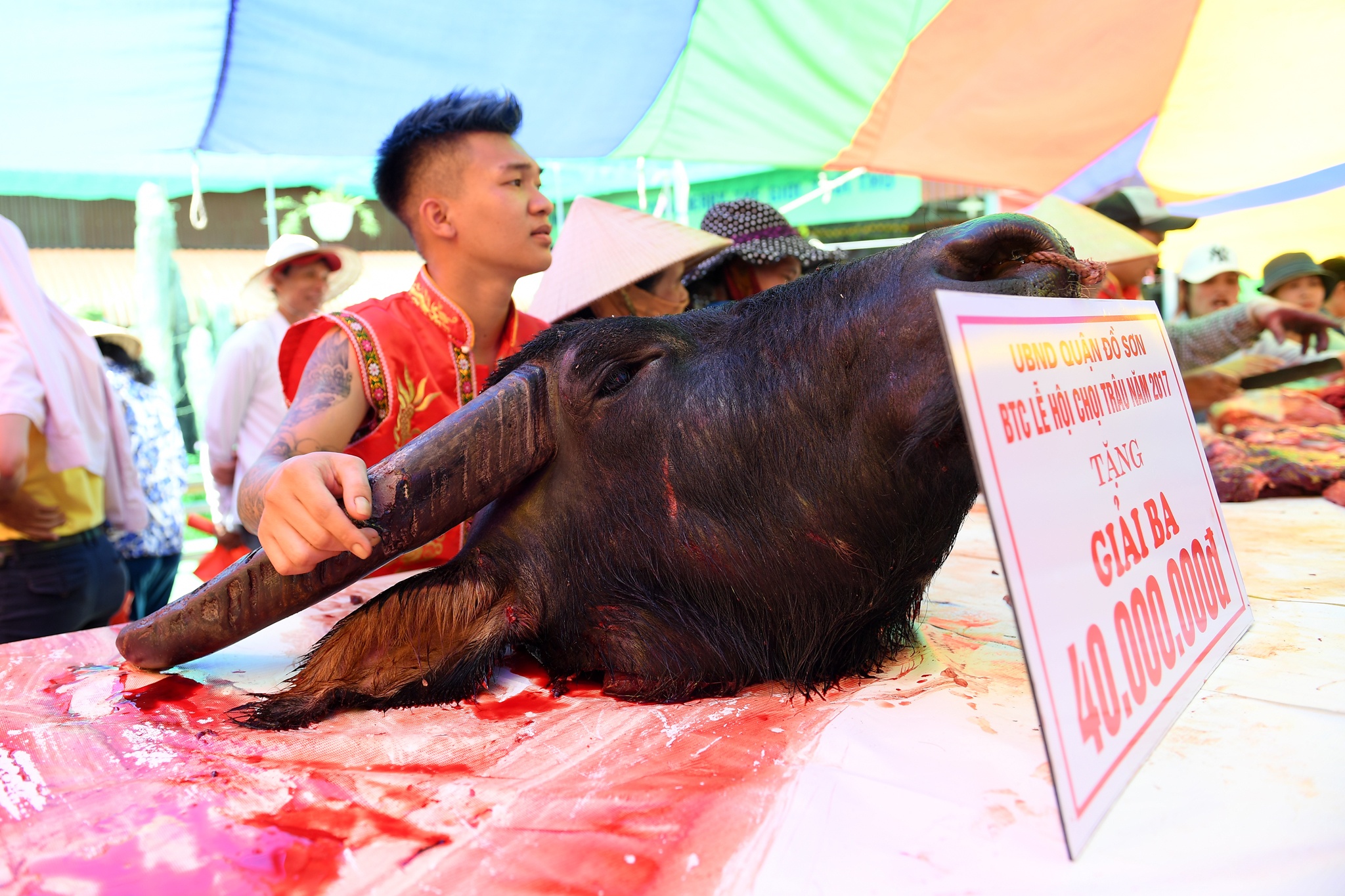 tinh huong bi hai le hoi choi trau anh 15