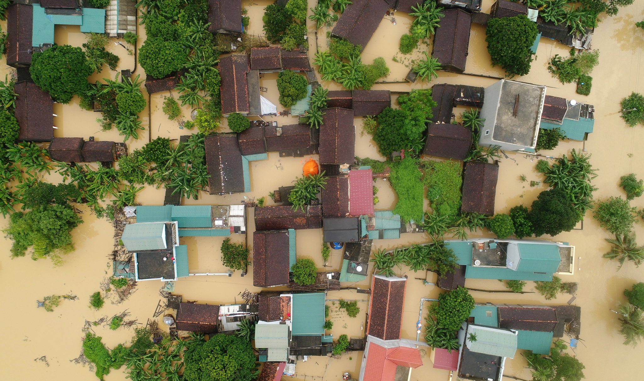 biển nước ngập trắng xóm làng Thanh Hoá ảnh 3 bien nuoc ngap trang xom lang Thanh Hoa anh 3