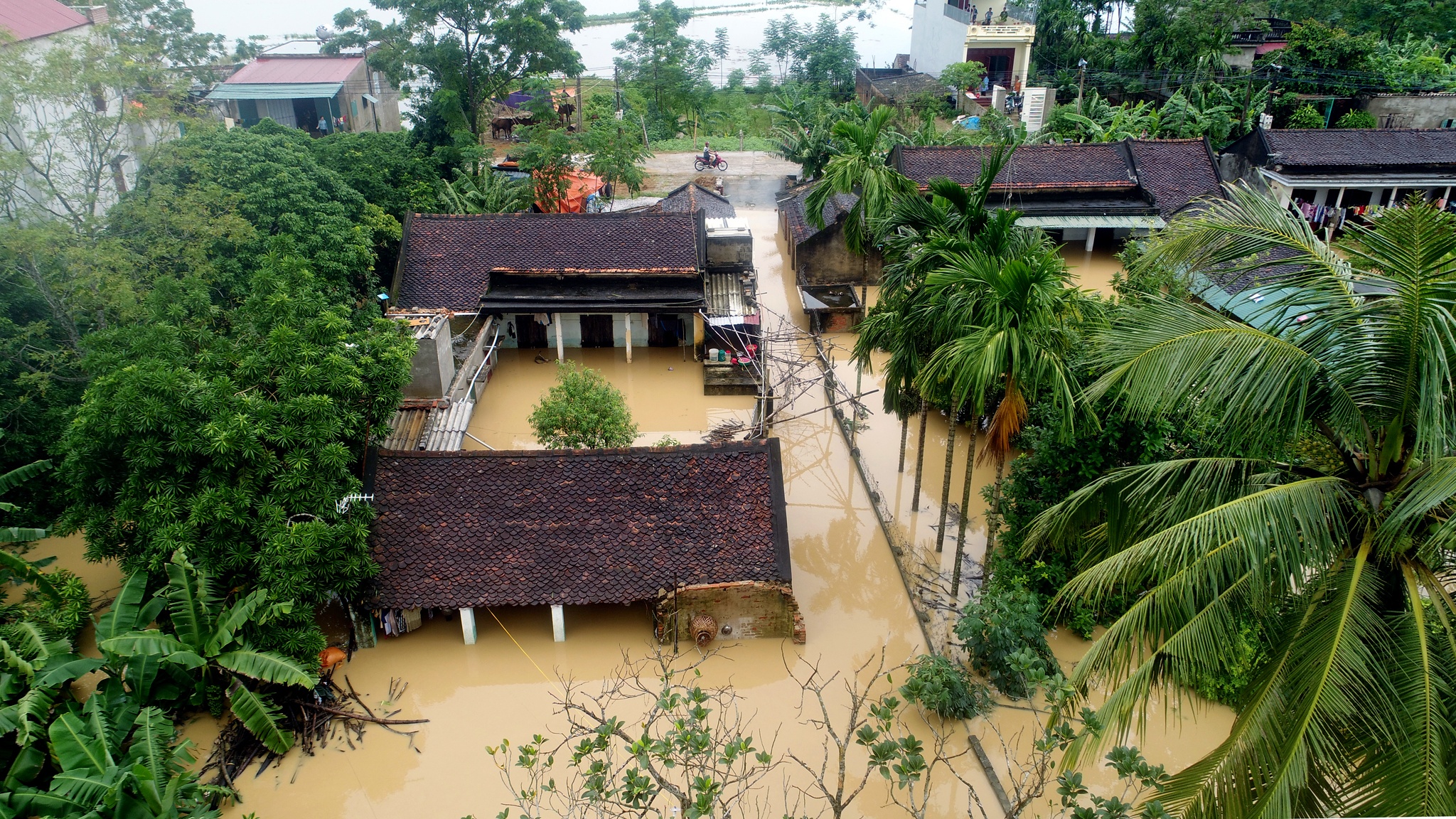 biển nước ngập trắng xóm làng Thanh Hoá ảnh 8 bien nuoc ngap trang xom lang Thanh Hoa anh 8