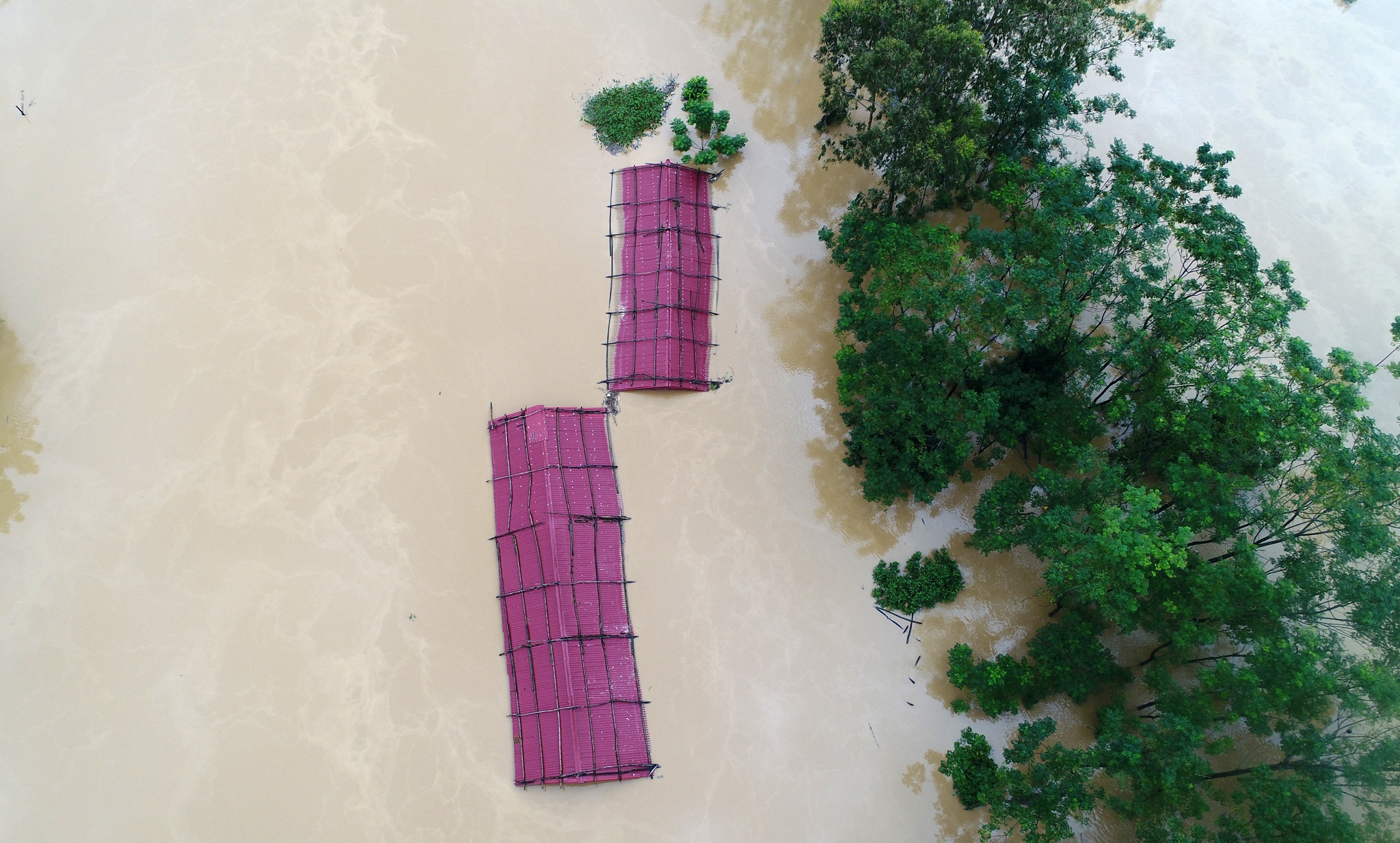 biển nước ngập trắng xóm làng Thanh Hoá ảnh 6 bien nuoc ngap trang xom lang Thanh Hoa anh 6