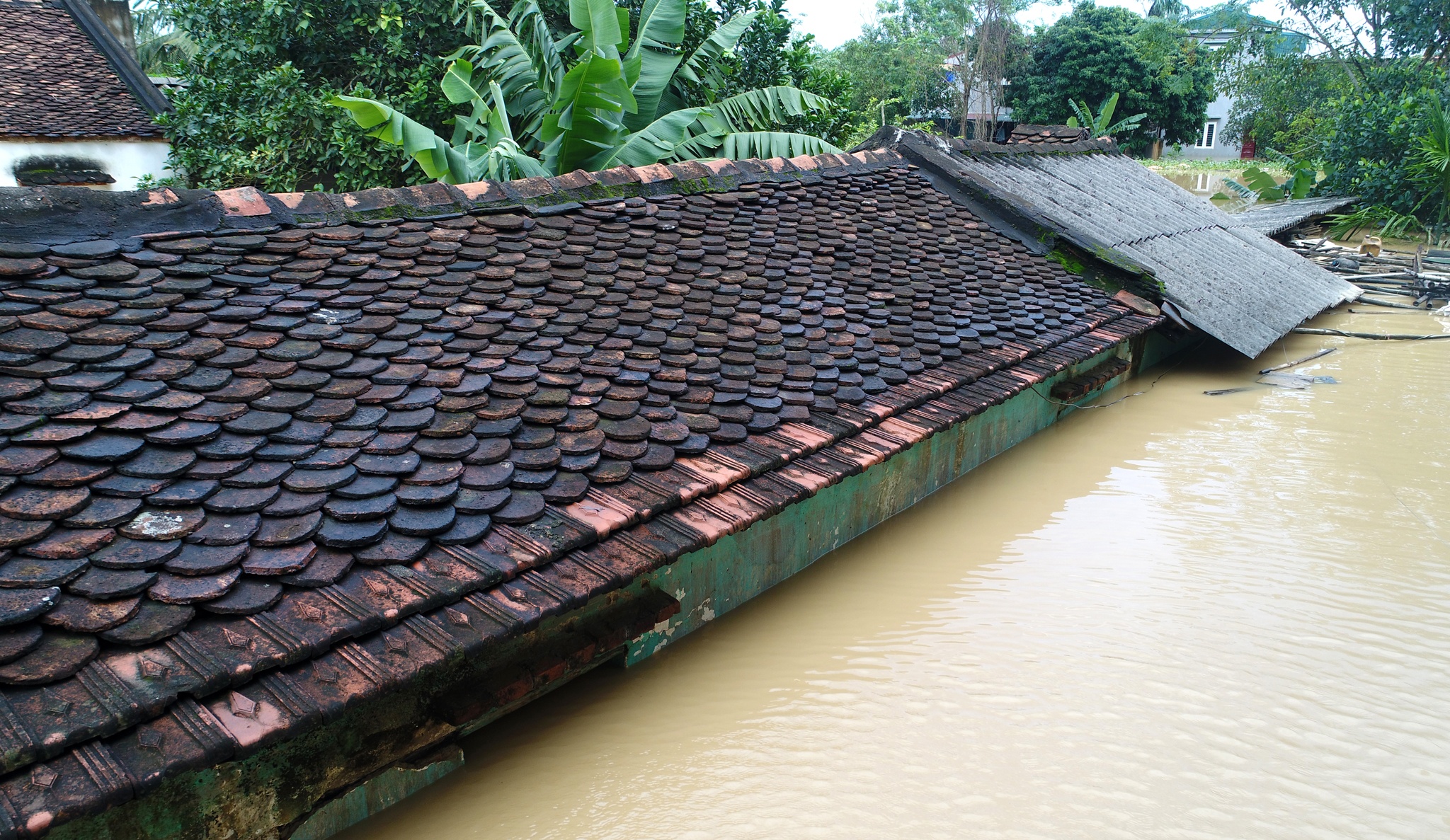 biển nước ngập trắng xóm làng Thanh Hoá ảnh 5 bien nuoc ngap trang xom lang Thanh Hoa anh 5