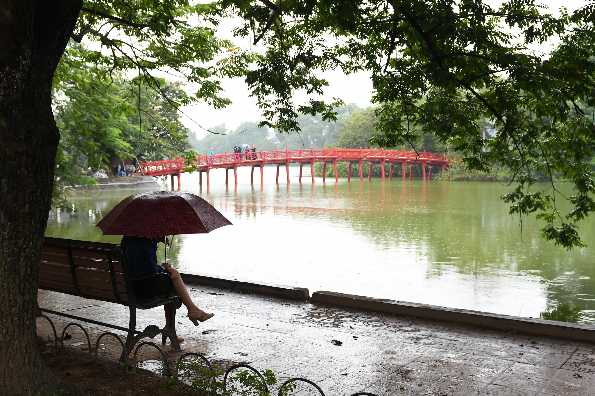 nguoi Ha Noi co ro ret dau mua anh 13