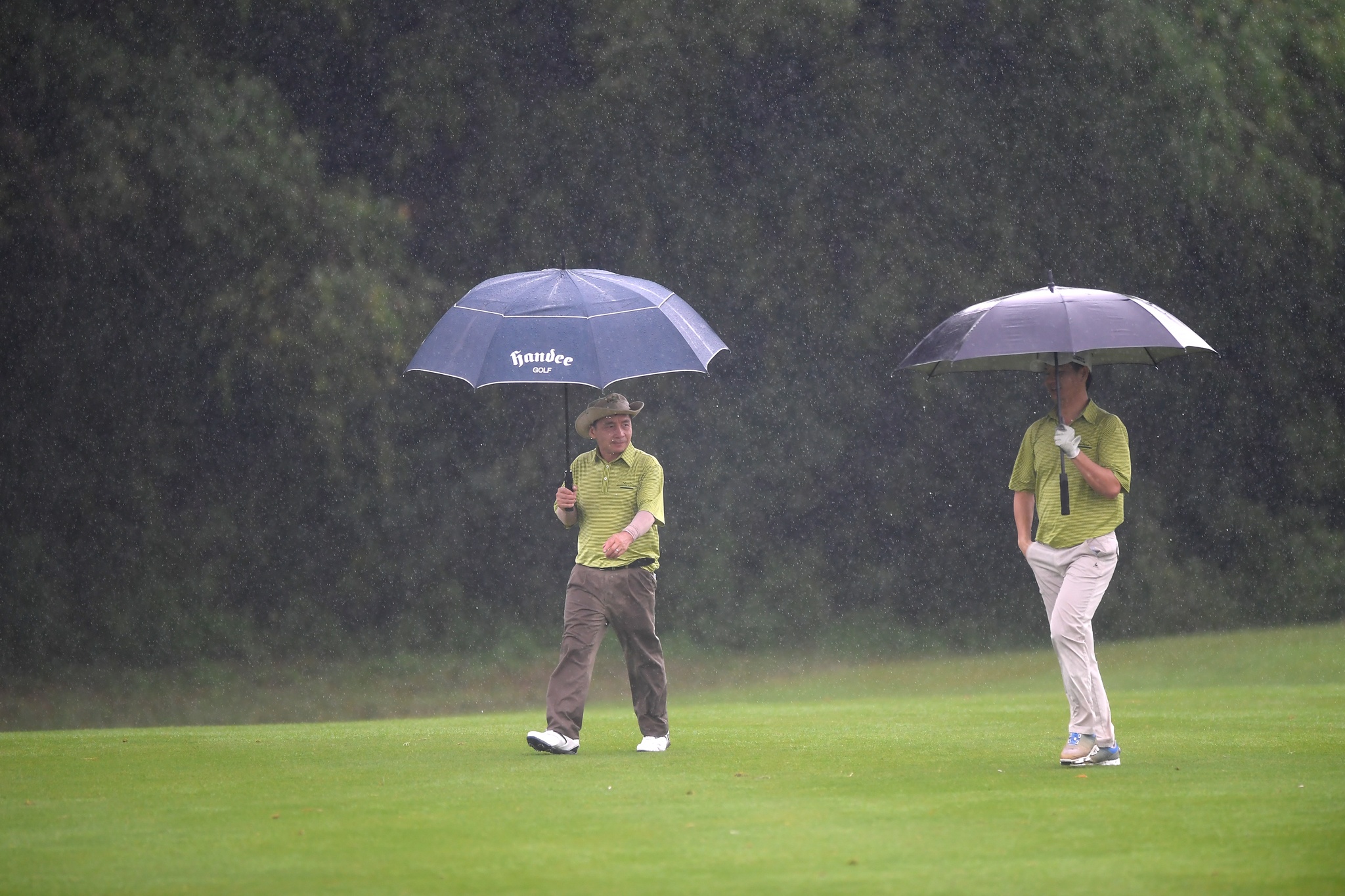 CEO du APEC danh Golf trong mua anh 3