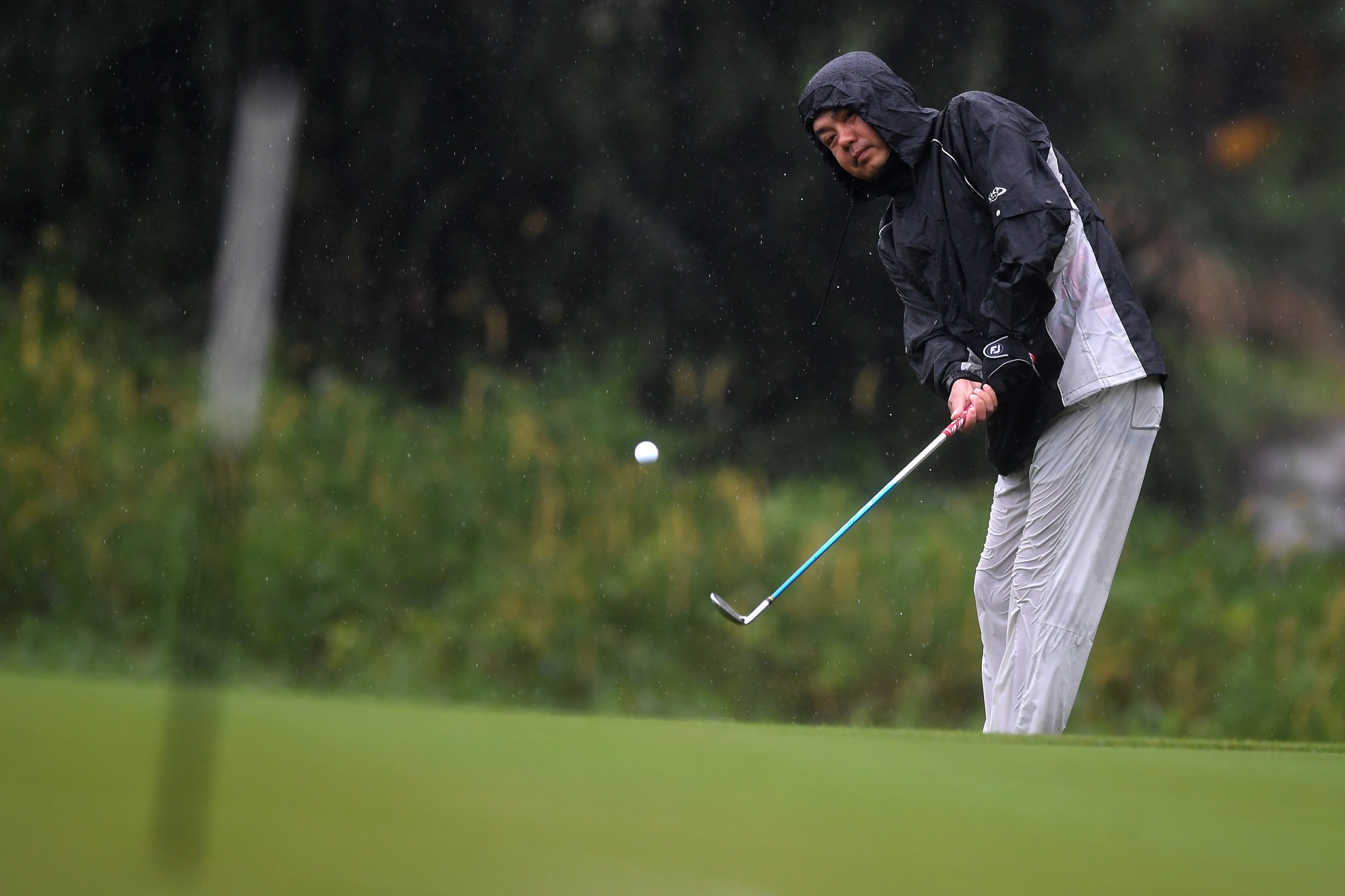 CEO du APEC danh Golf trong mua anh 10