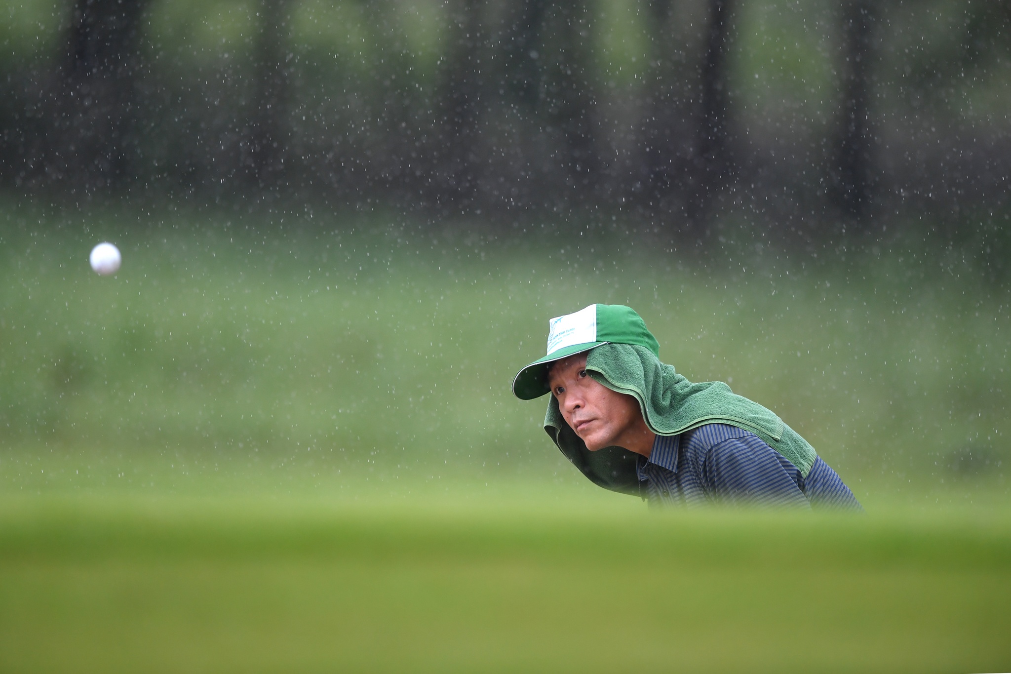 CEO du APEC danh Golf trong mua anh 14