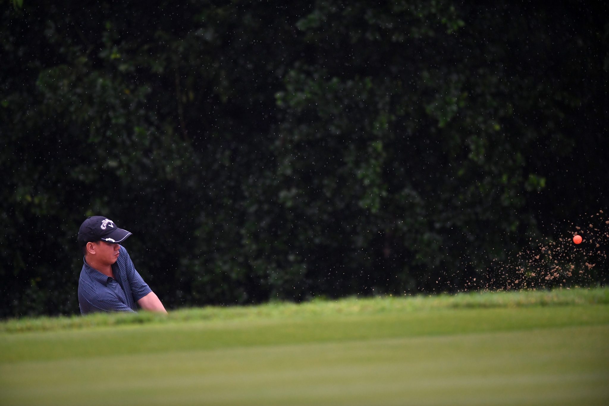 CEO du APEC danh Golf trong mua anh 7