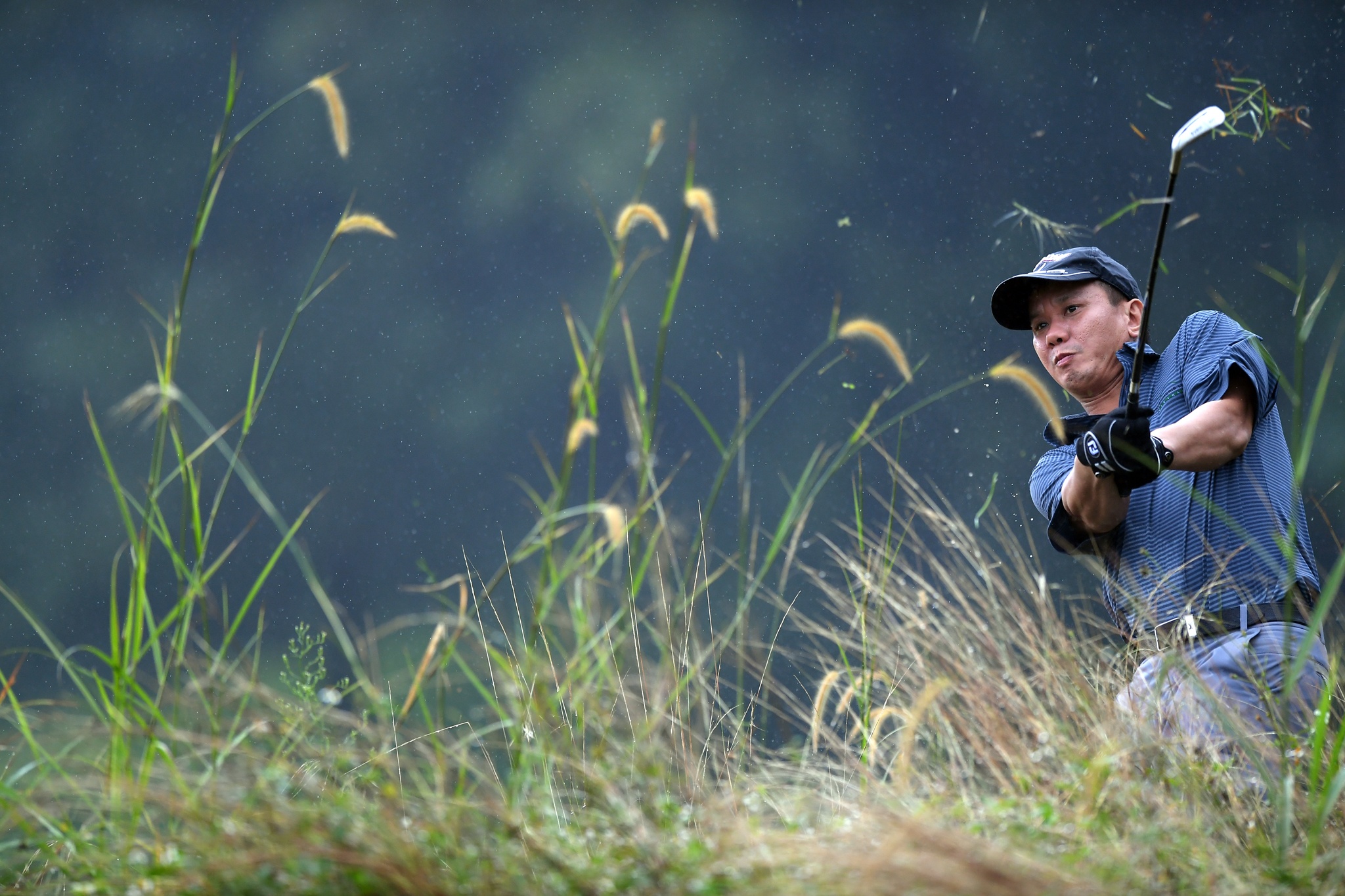 CEO du APEC danh Golf trong mua anh 8