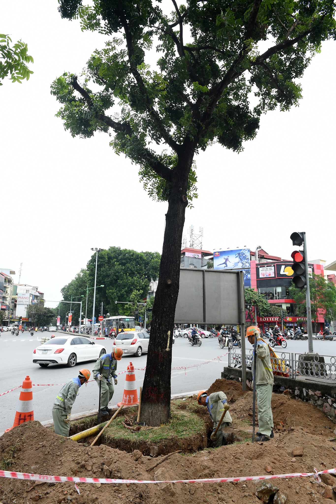 di doi nhung cay xanh Kim Ma cuoi cung anh 4