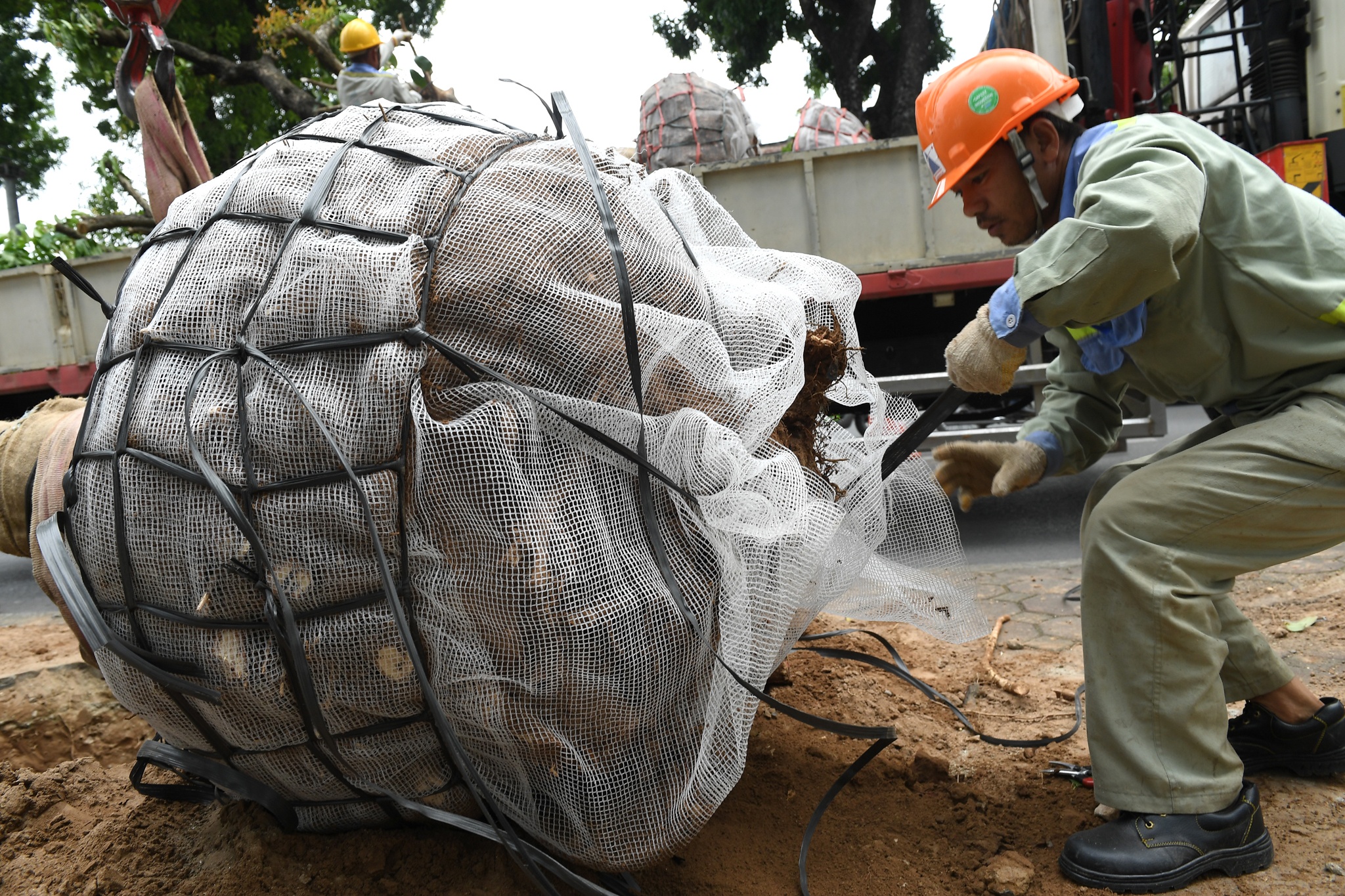 di doi nhung cay xanh Kim Ma cuoi cung anh 5