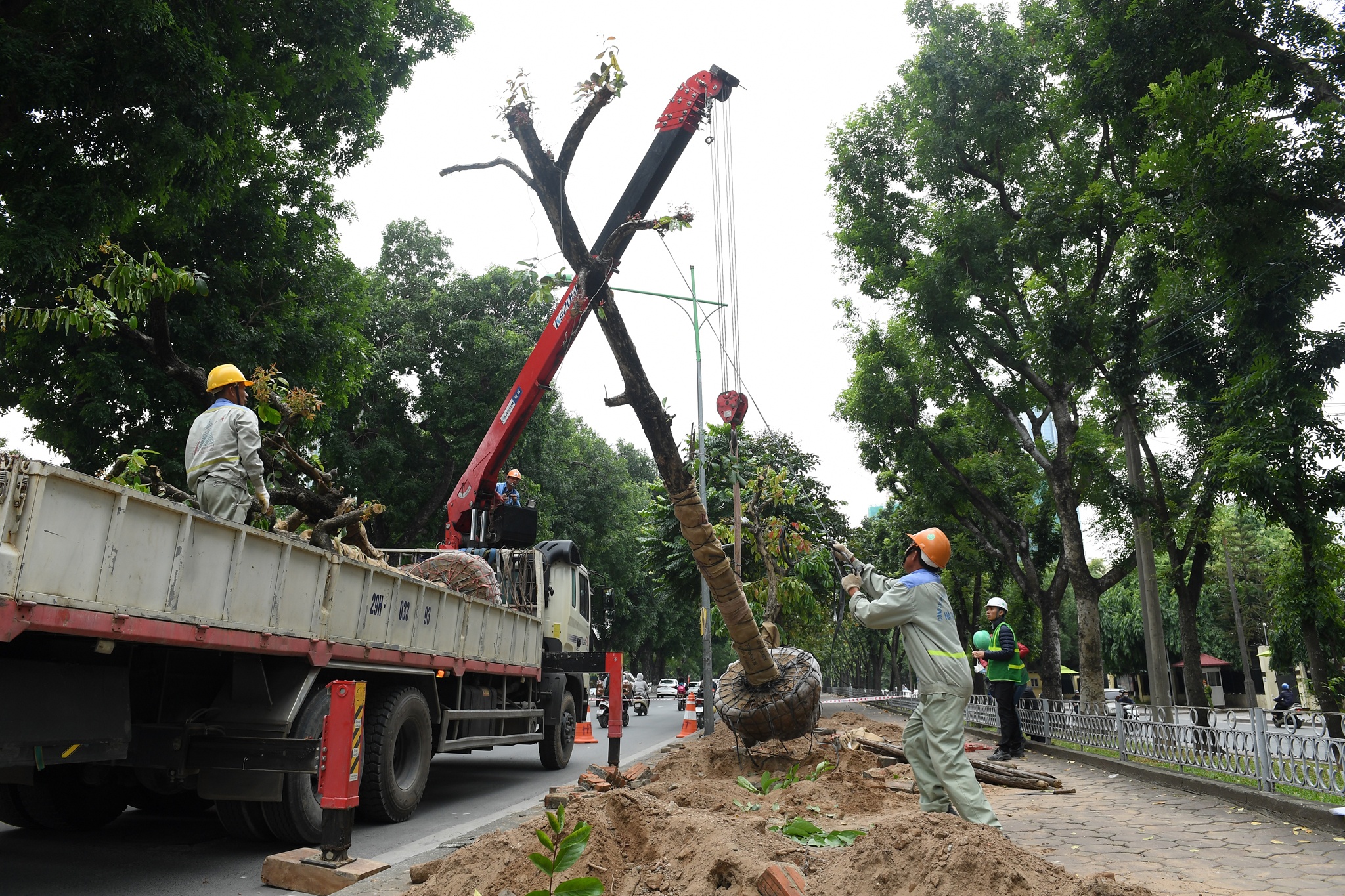 di doi nhung cay xanh Kim Ma cuoi cung anh 2