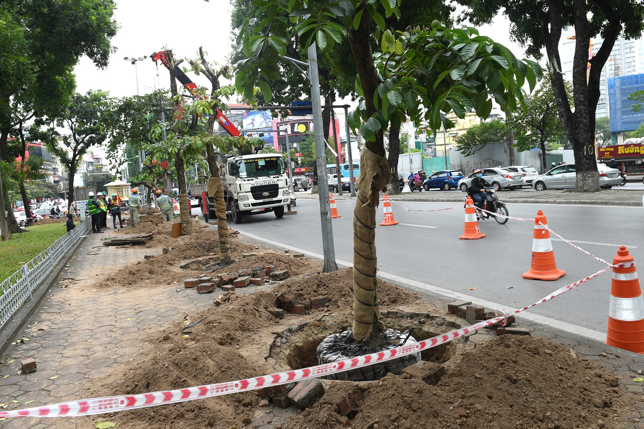 di doi nhung cay xanh Kim Ma cuoi cung anh 1