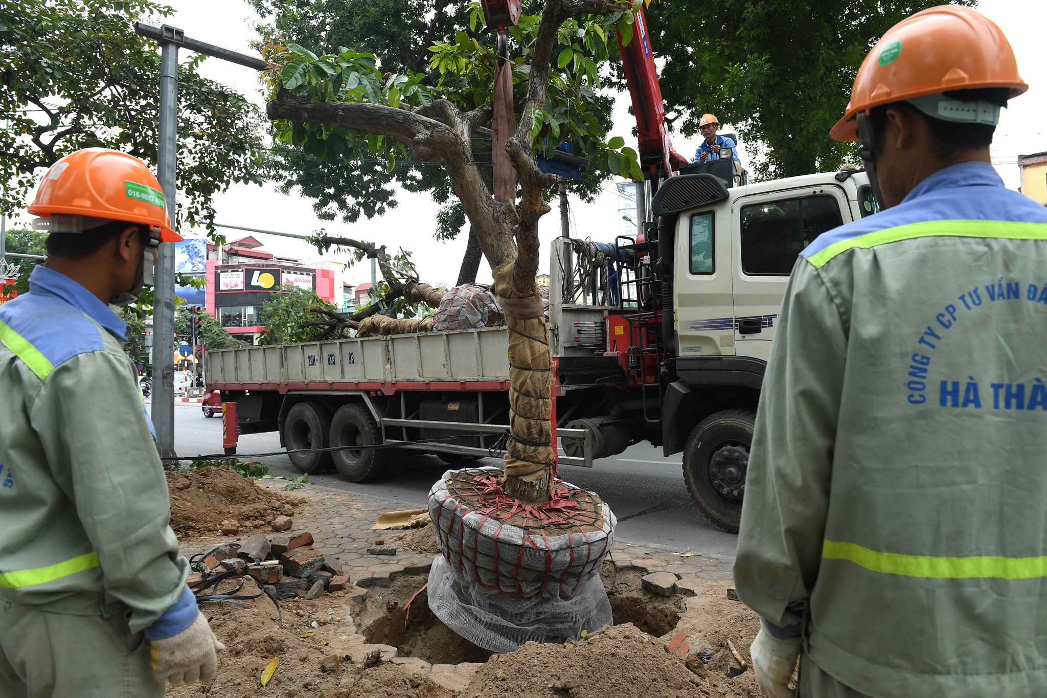 di doi nhung cay xanh Kim Ma cuoi cung anh 6
