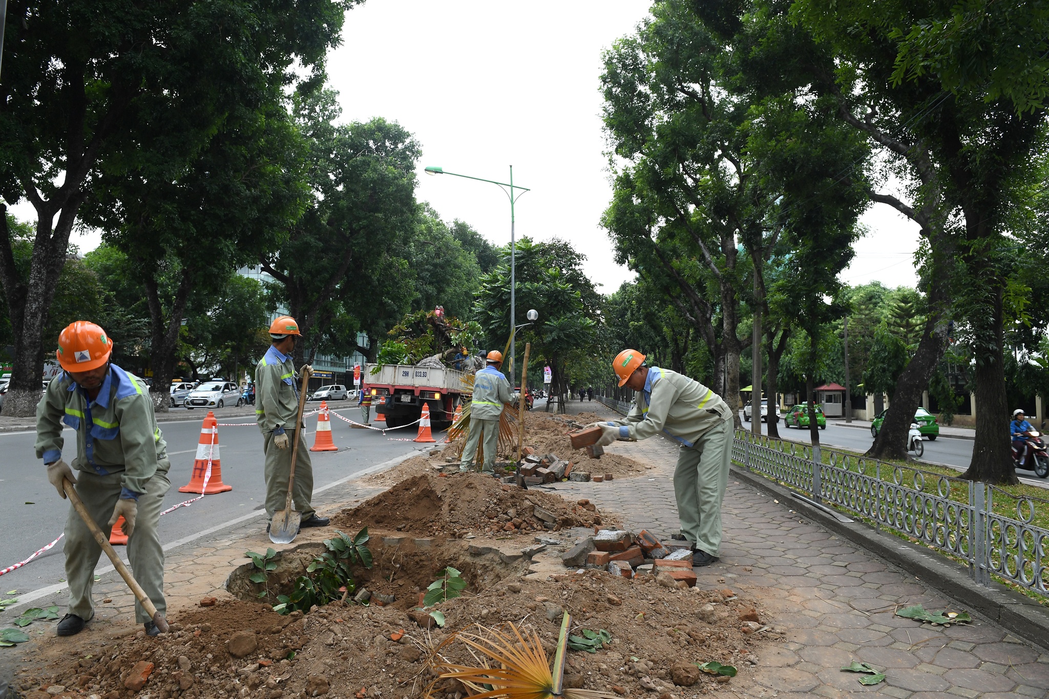 di doi nhung cay xanh Kim Ma cuoi cung anh 10