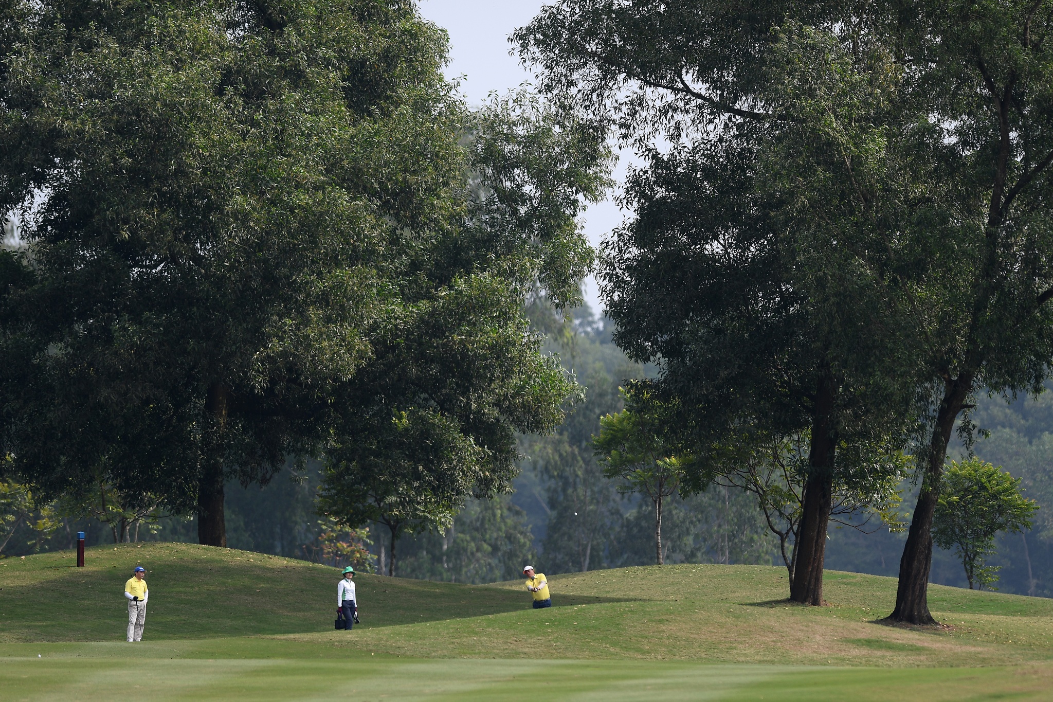 tranh tai giai golf bao Tien Phong anh 2