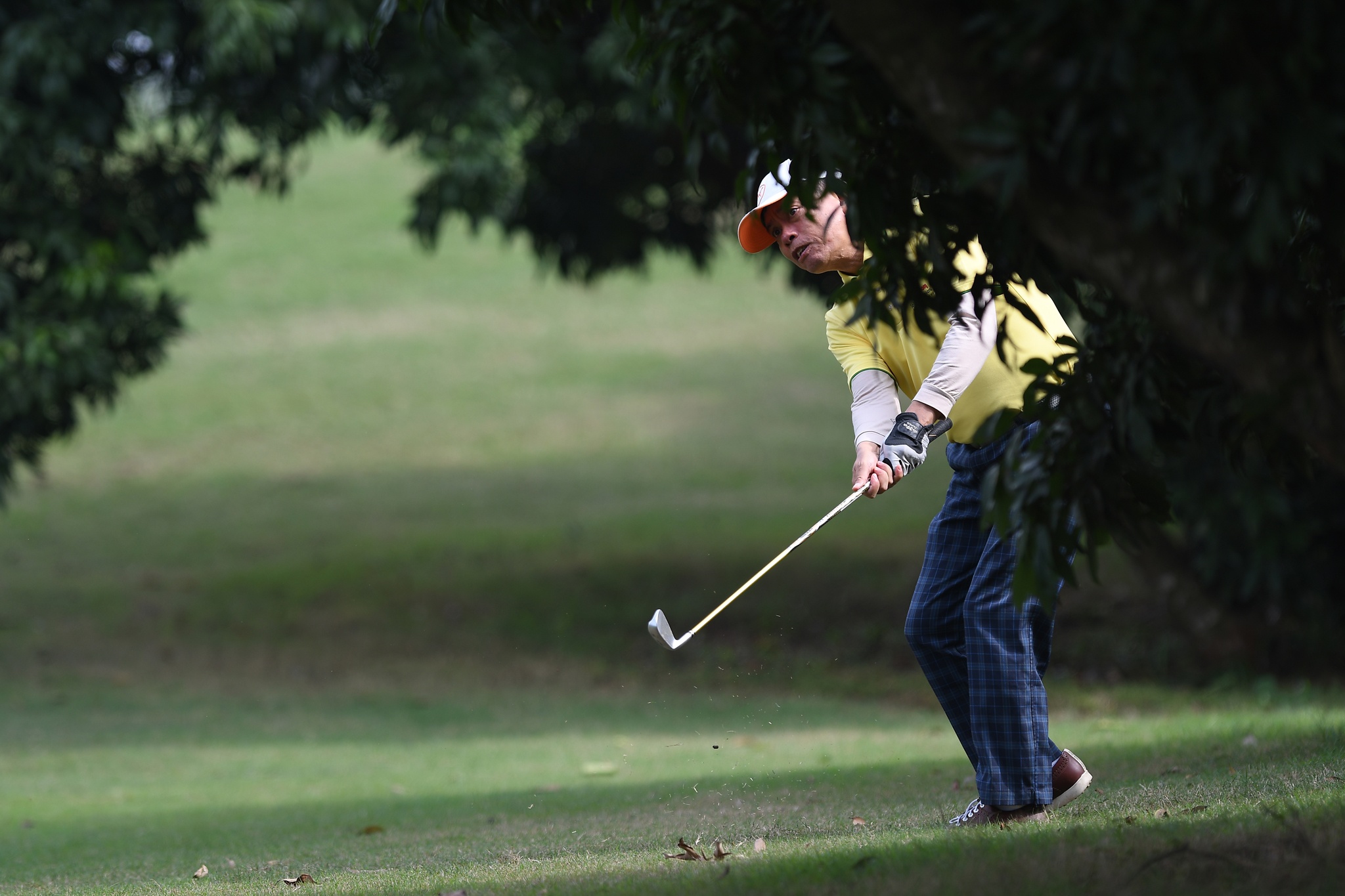 tranh tai giai golf bao Tien Phong anh 10