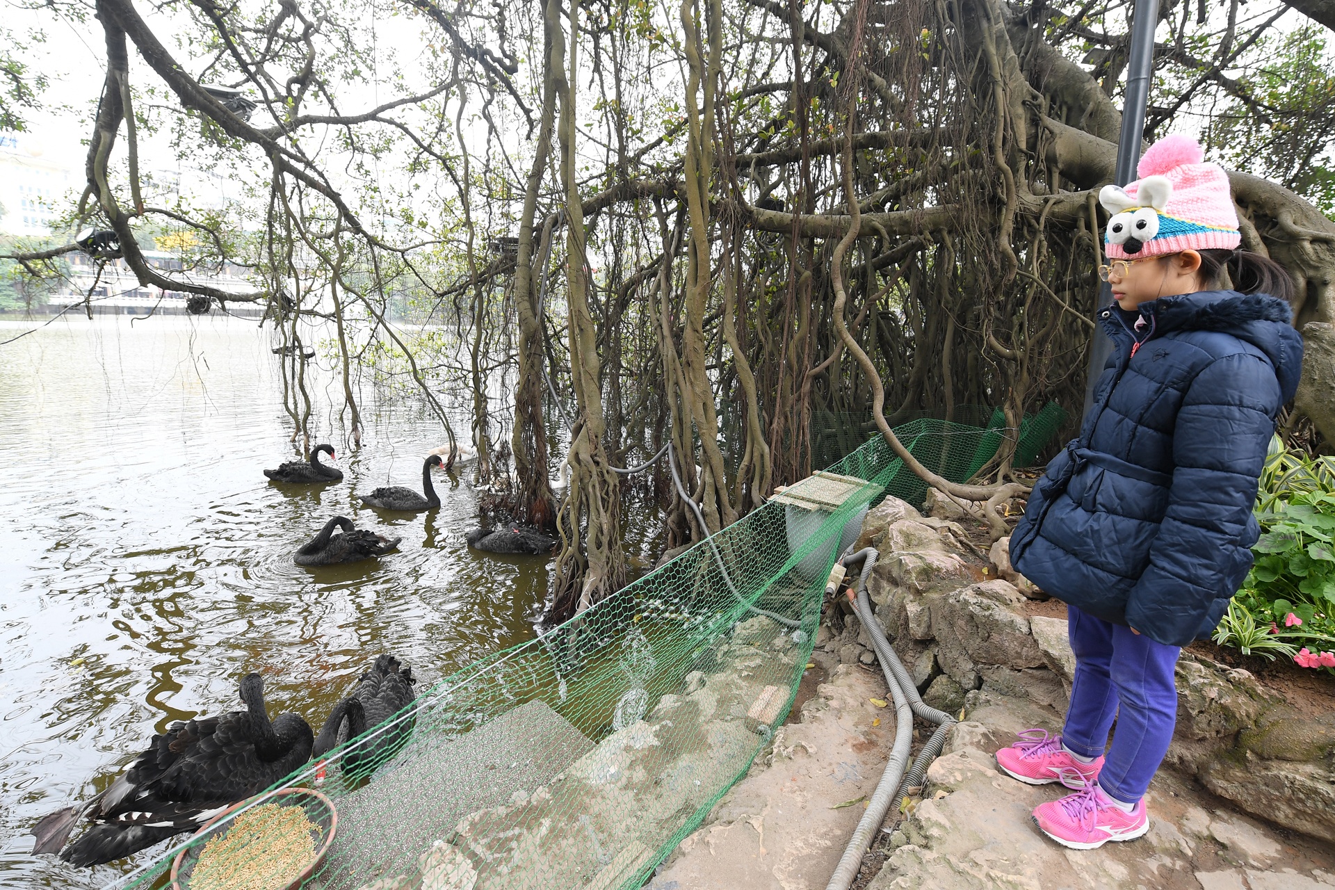 Tha thien nga o ho Guom anh 11