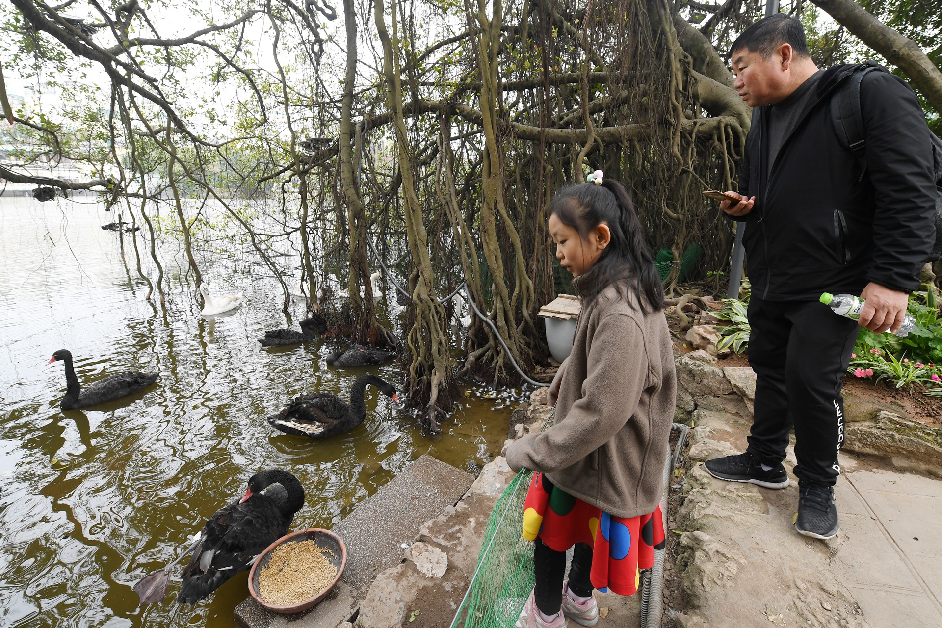 Tha thien nga o ho Guom anh 3