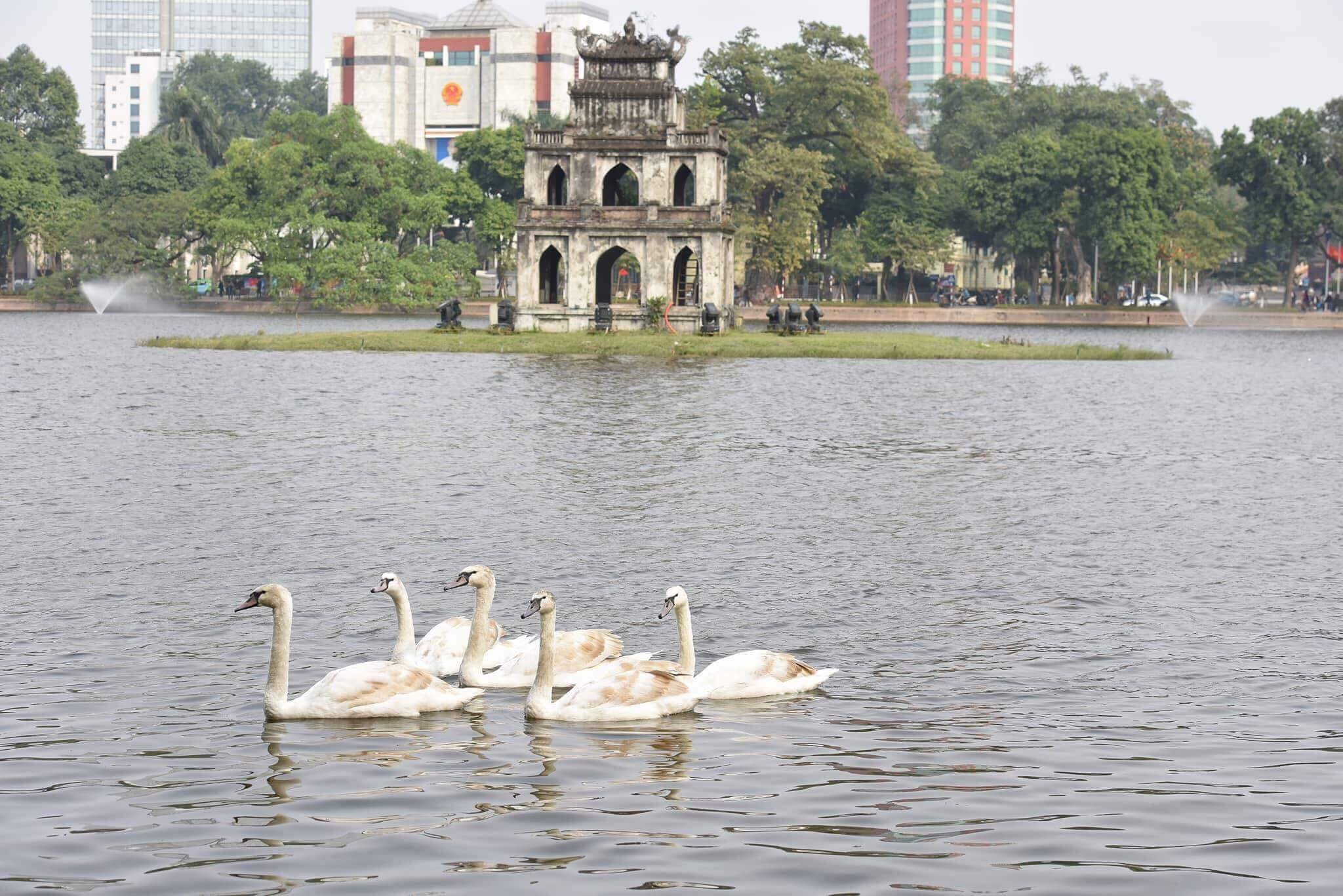 Tha thien nga o ho Guom anh 14