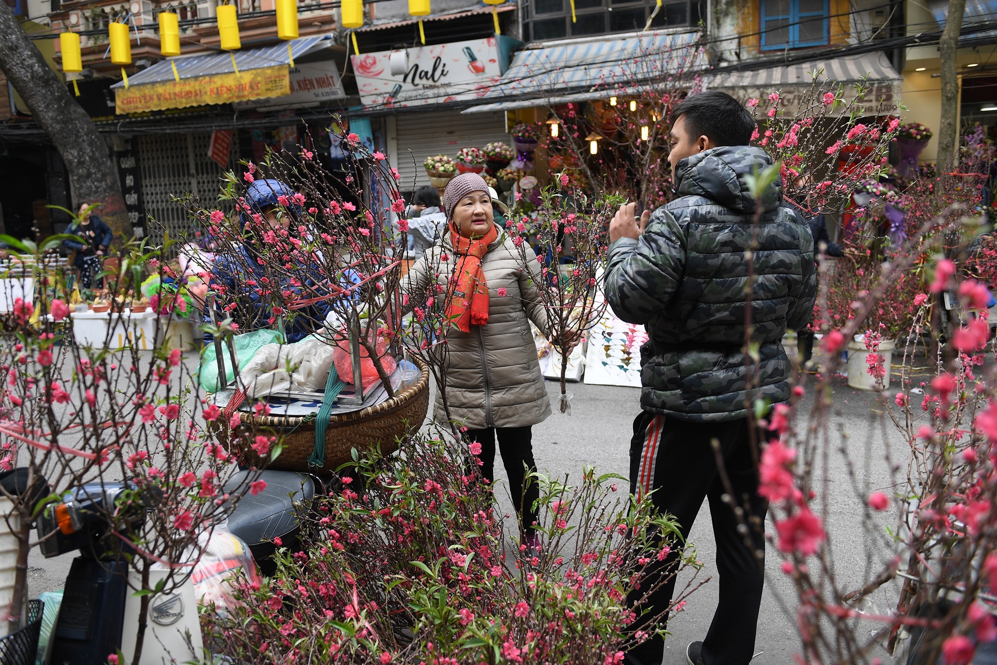 pho hoa hang luoc nhon nhip truoc tet anh 2