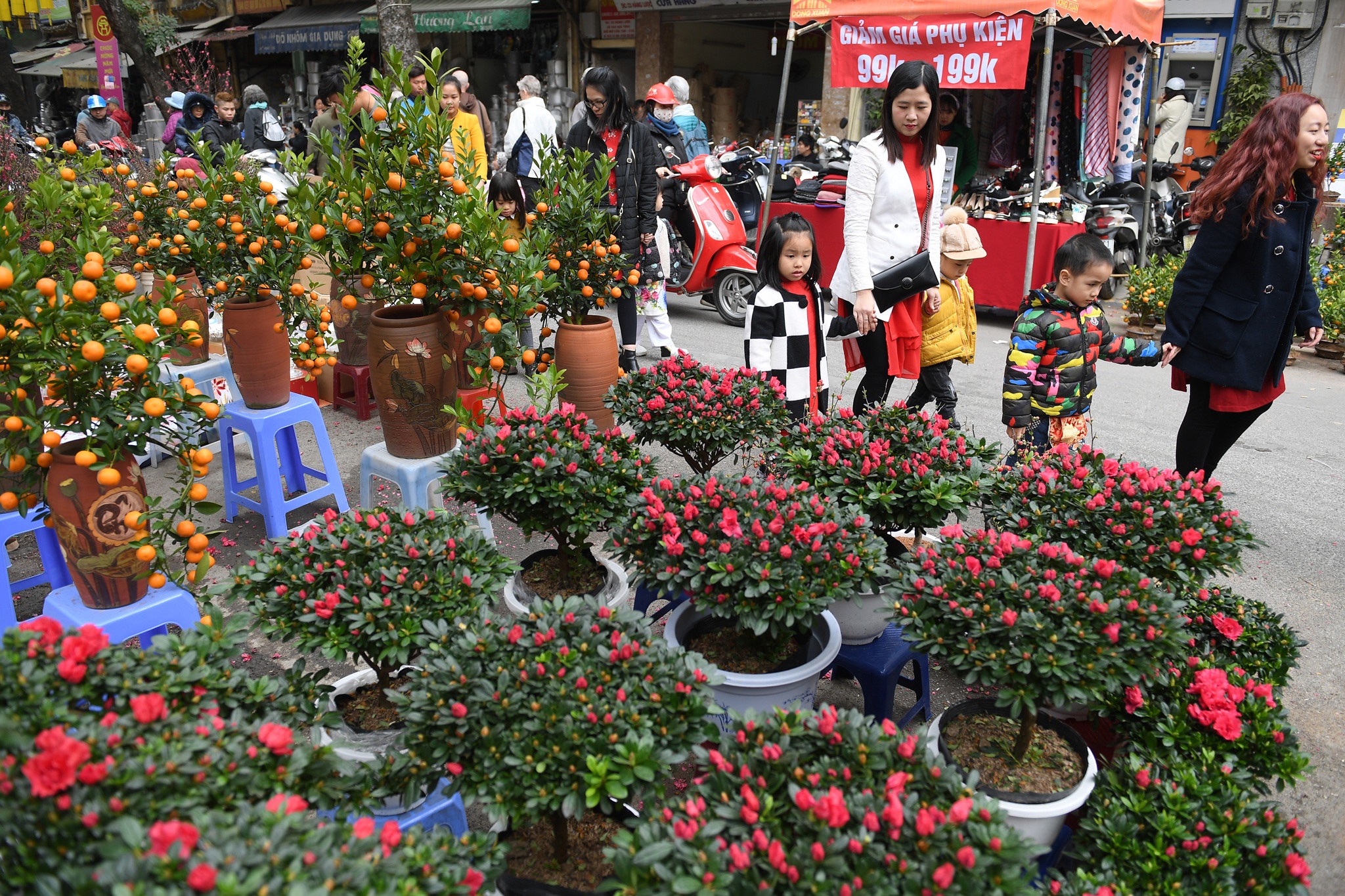 pho hoa hang luoc nhon nhip truoc tet anh 5