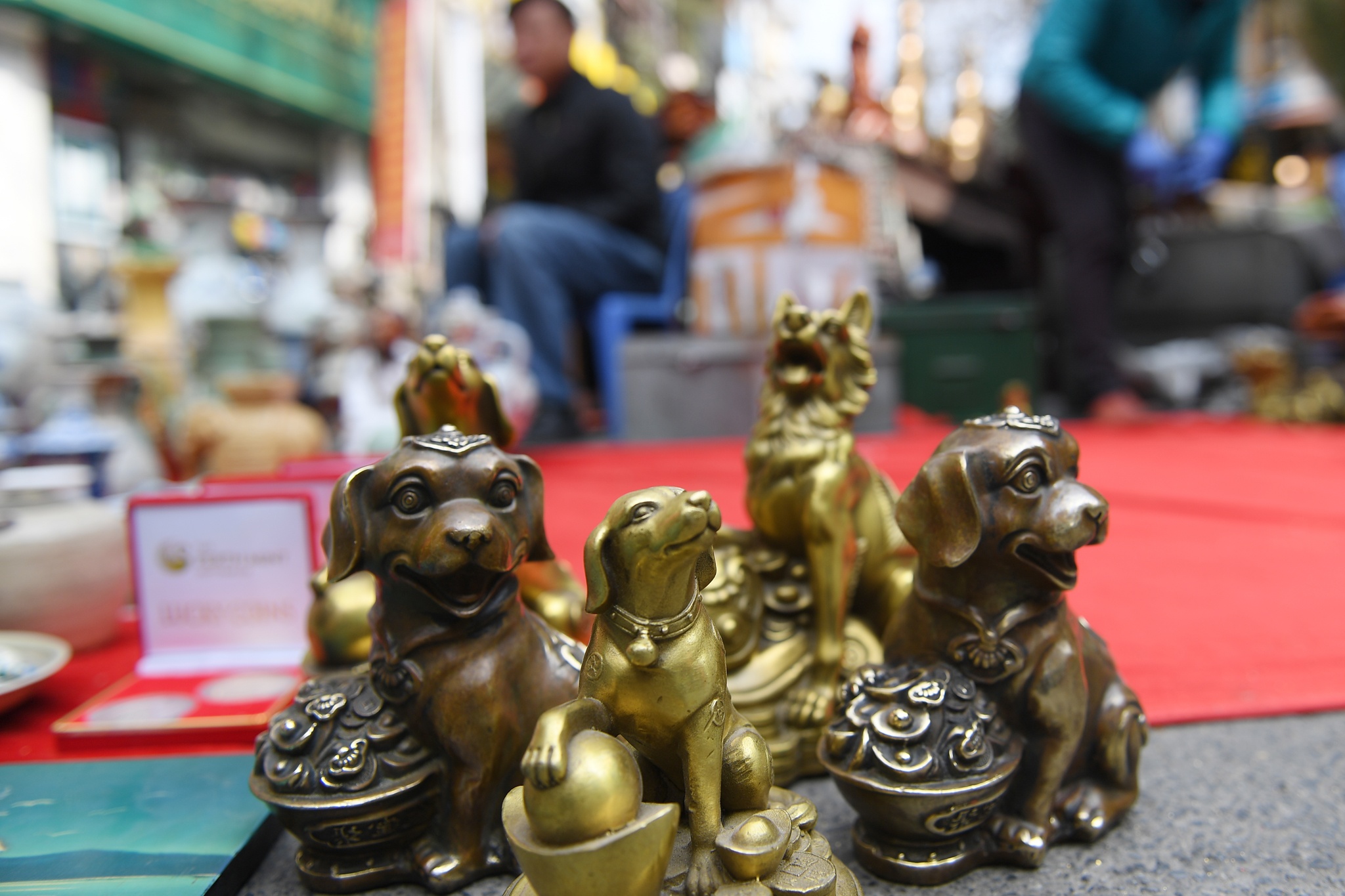 pho hoa hang luoc nhon nhip truoc tet anh 15