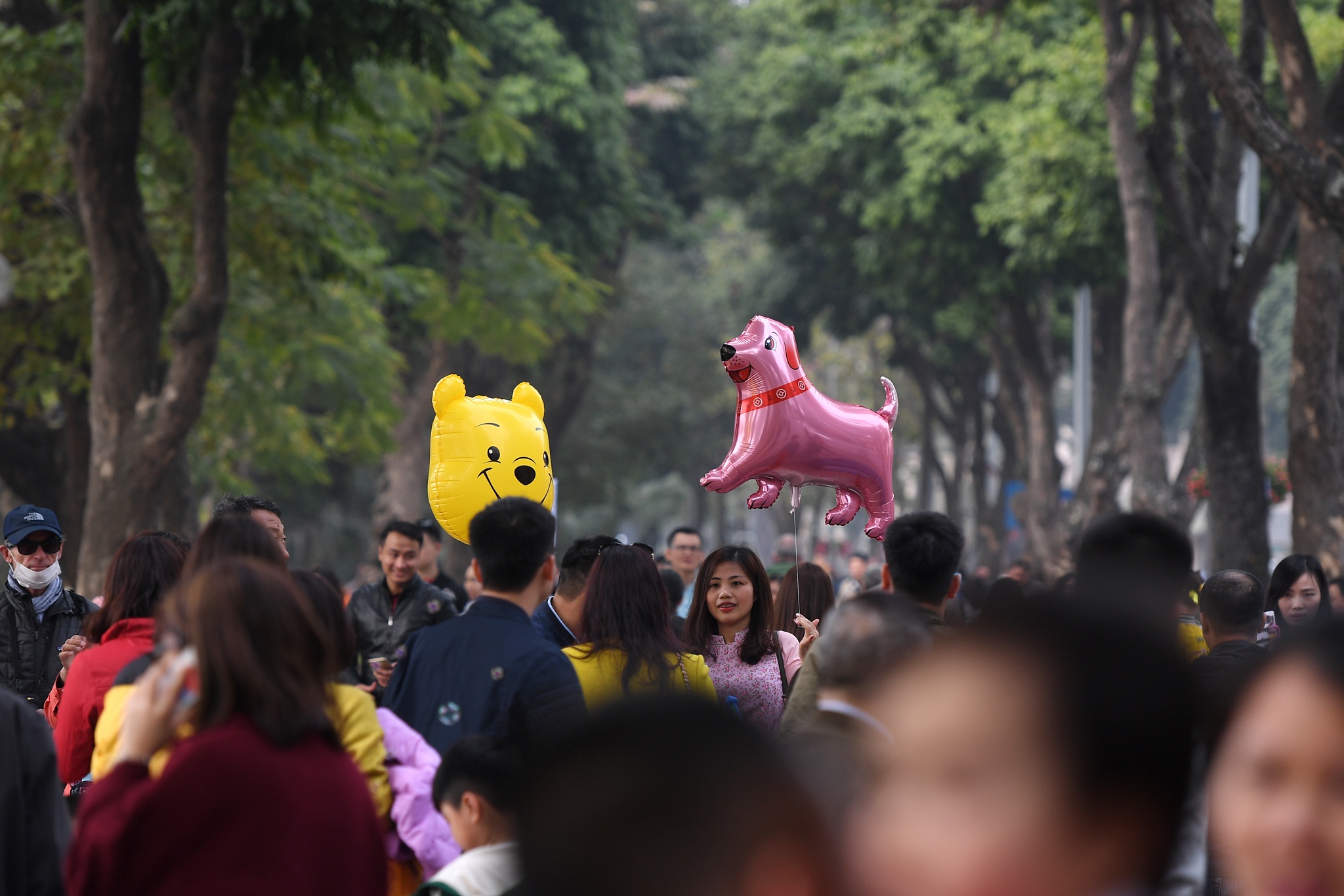 Ha Noi chieu 30 Tet anh 14