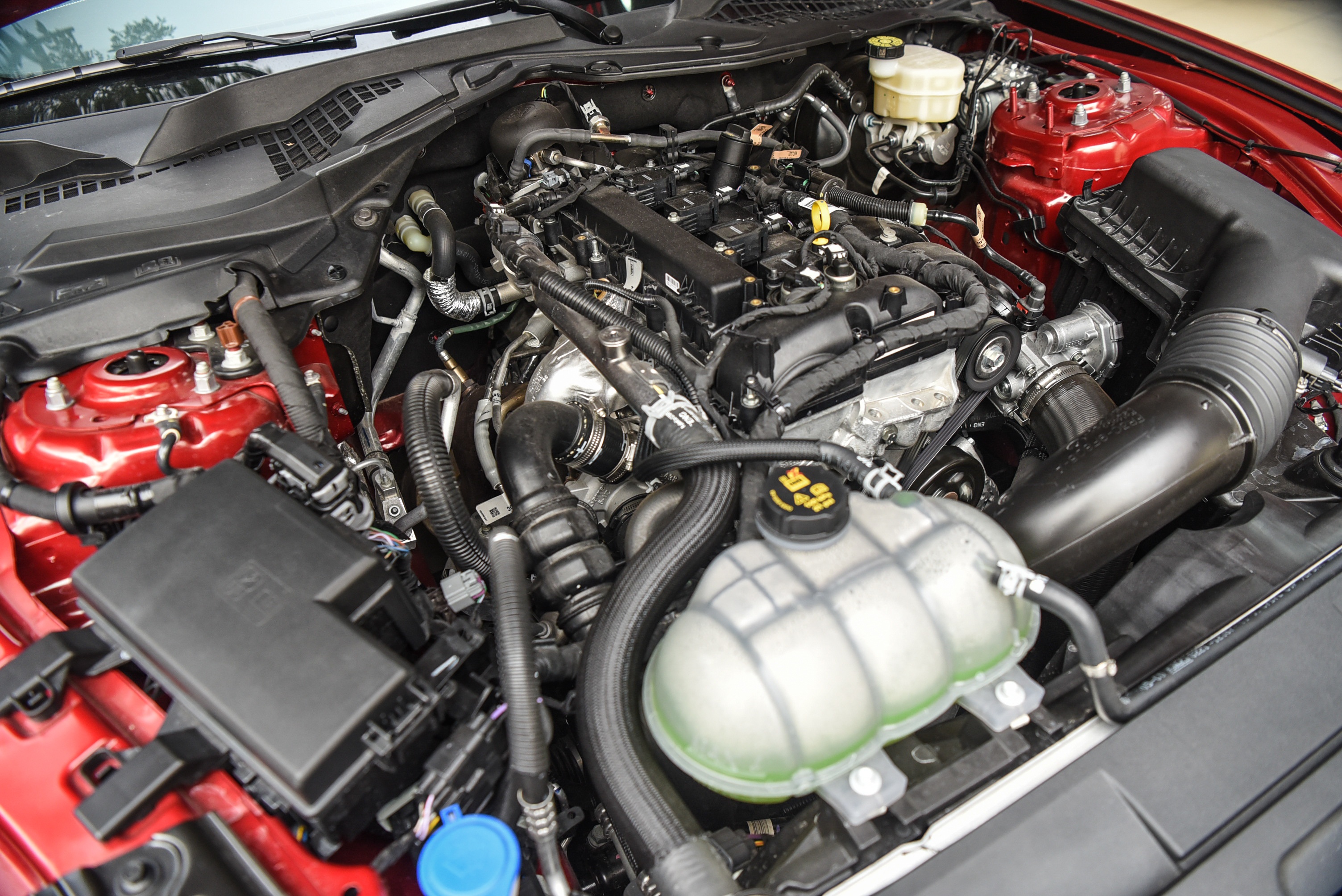 Ford Mustang 2022 anh 14