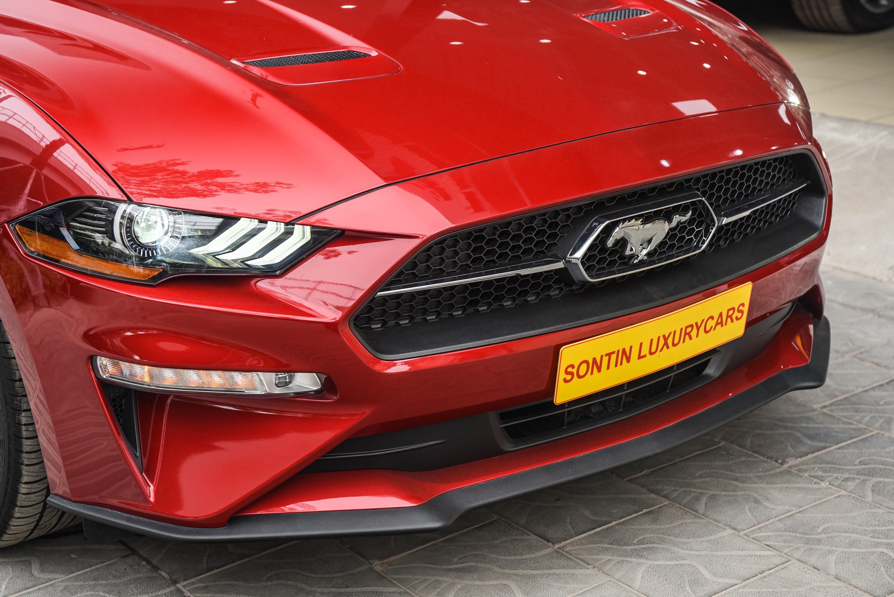 Ford Mustang 2022 anh 4