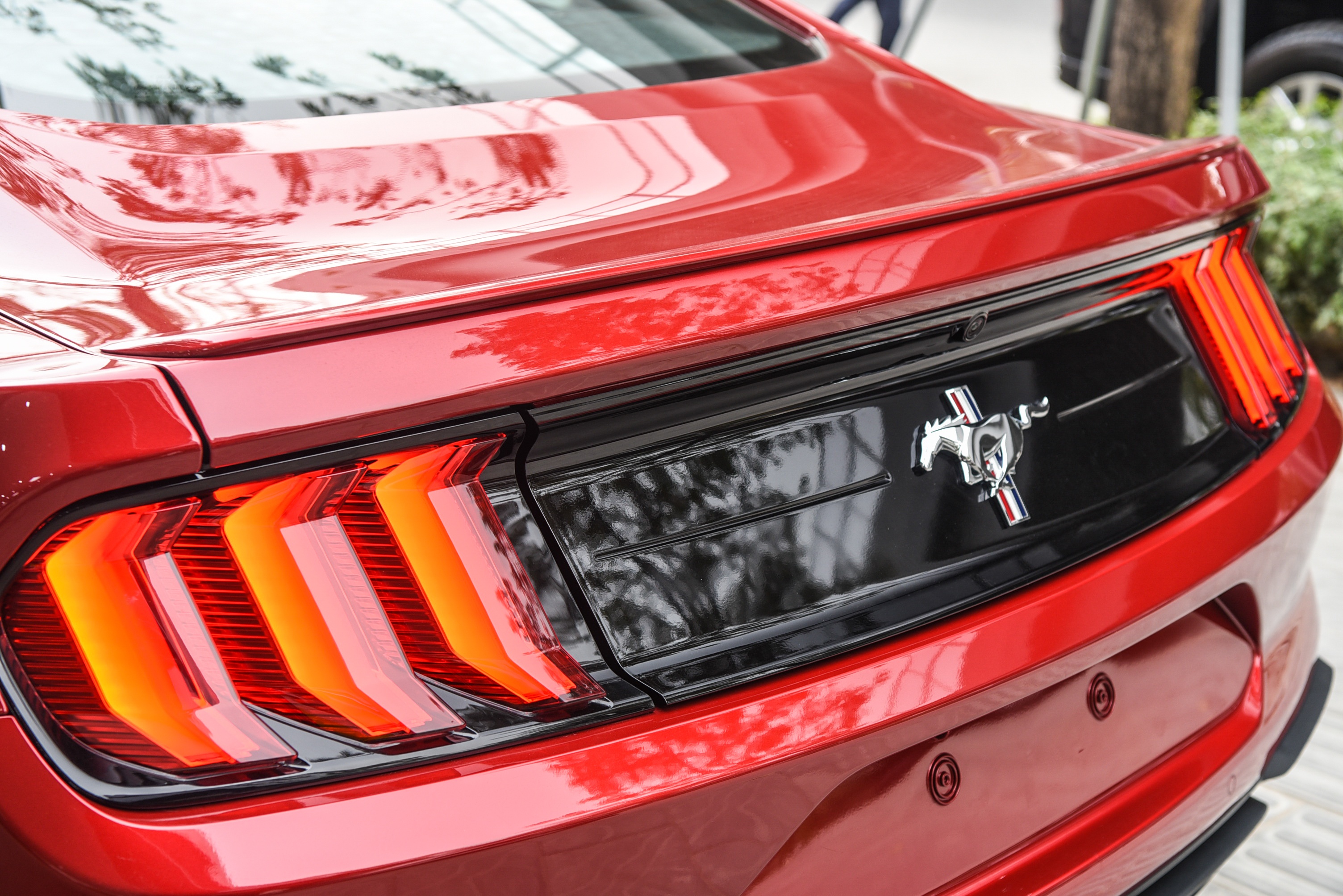 Ford Mustang 2022 ảnh 7 Ford Mustang 2022 anh 7