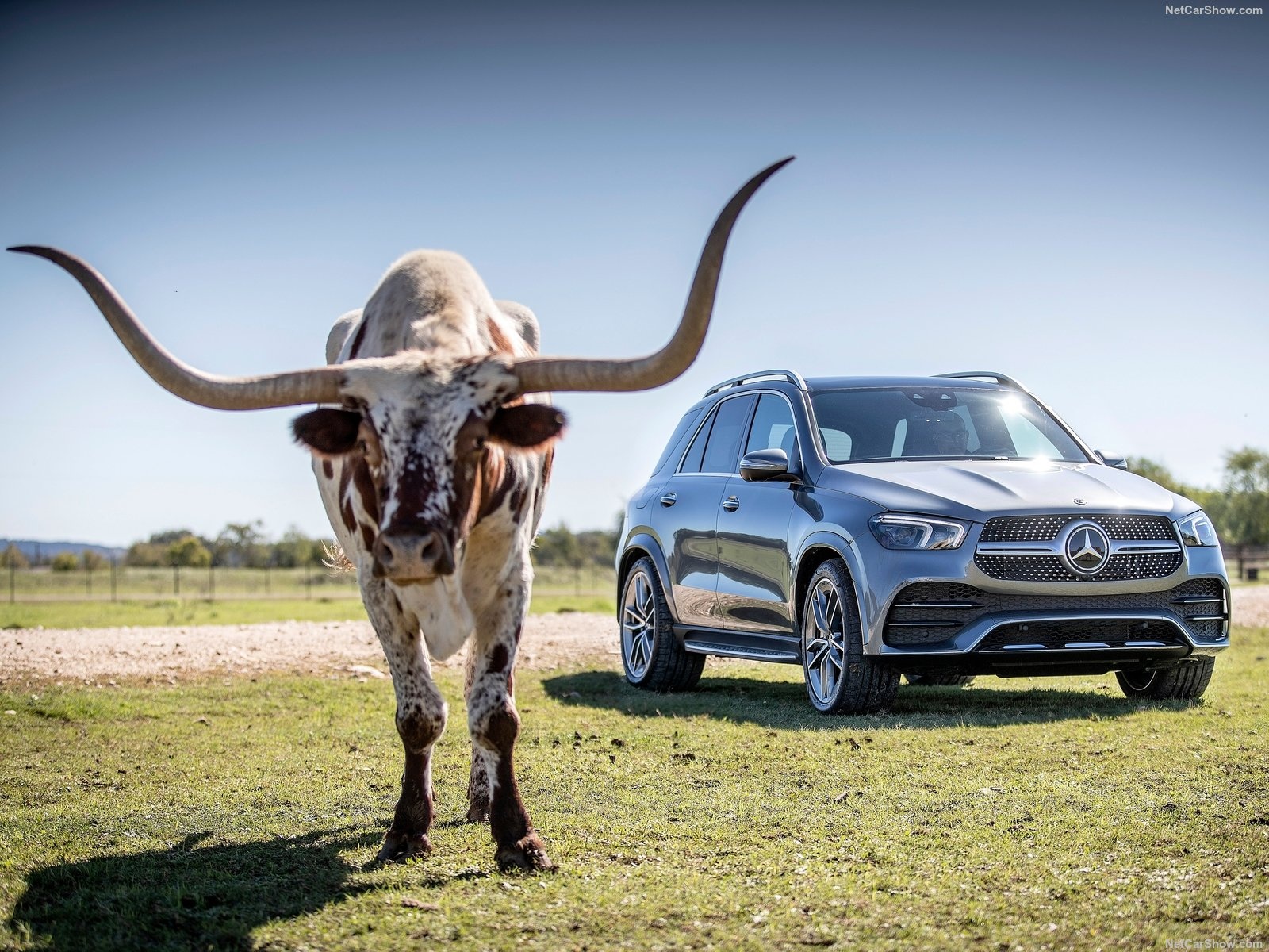 trien lam oto viet nam 2019 anh 41