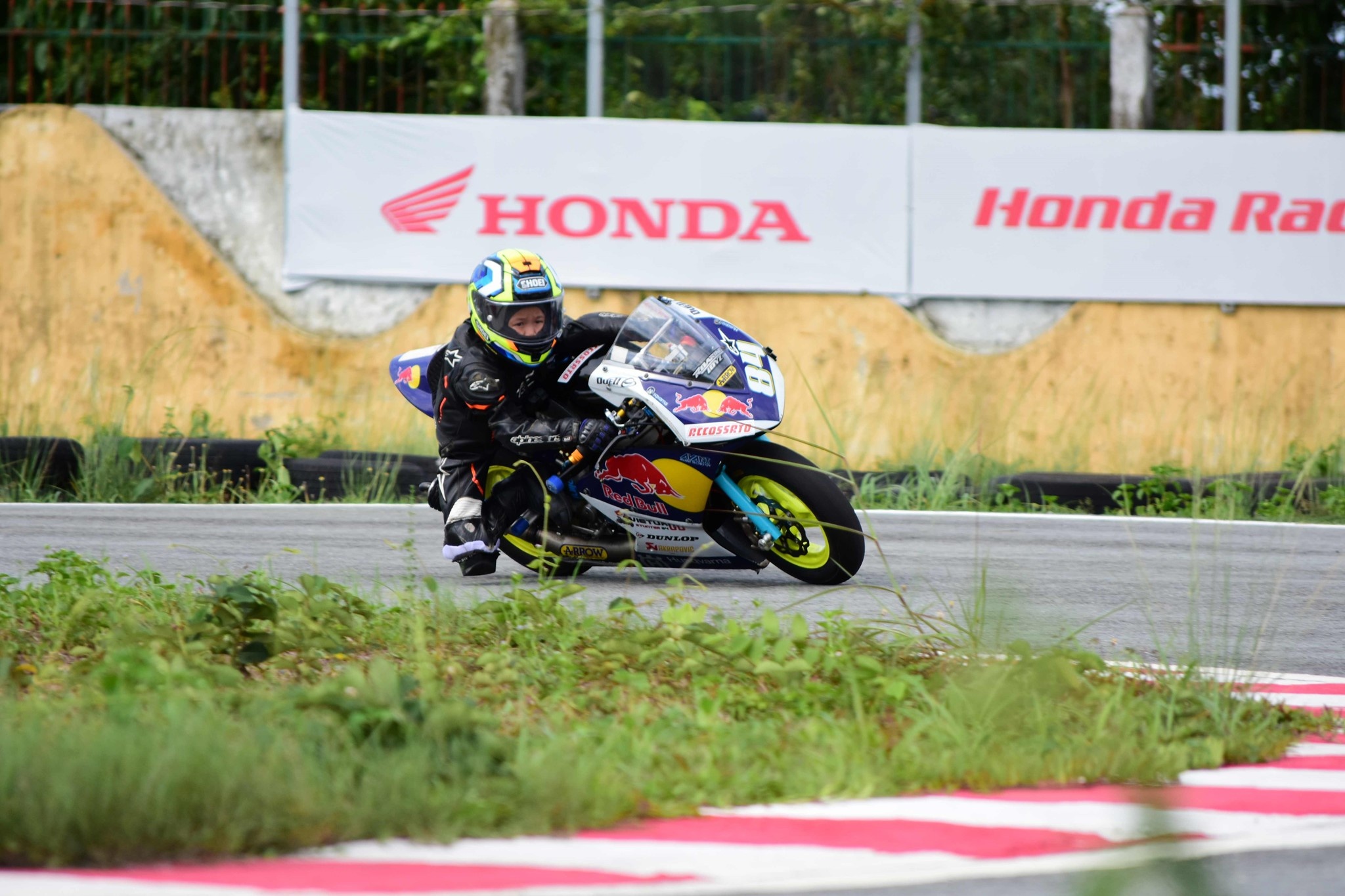 đua xe motoGP ảnh 4 dua xe motoGP anh 4