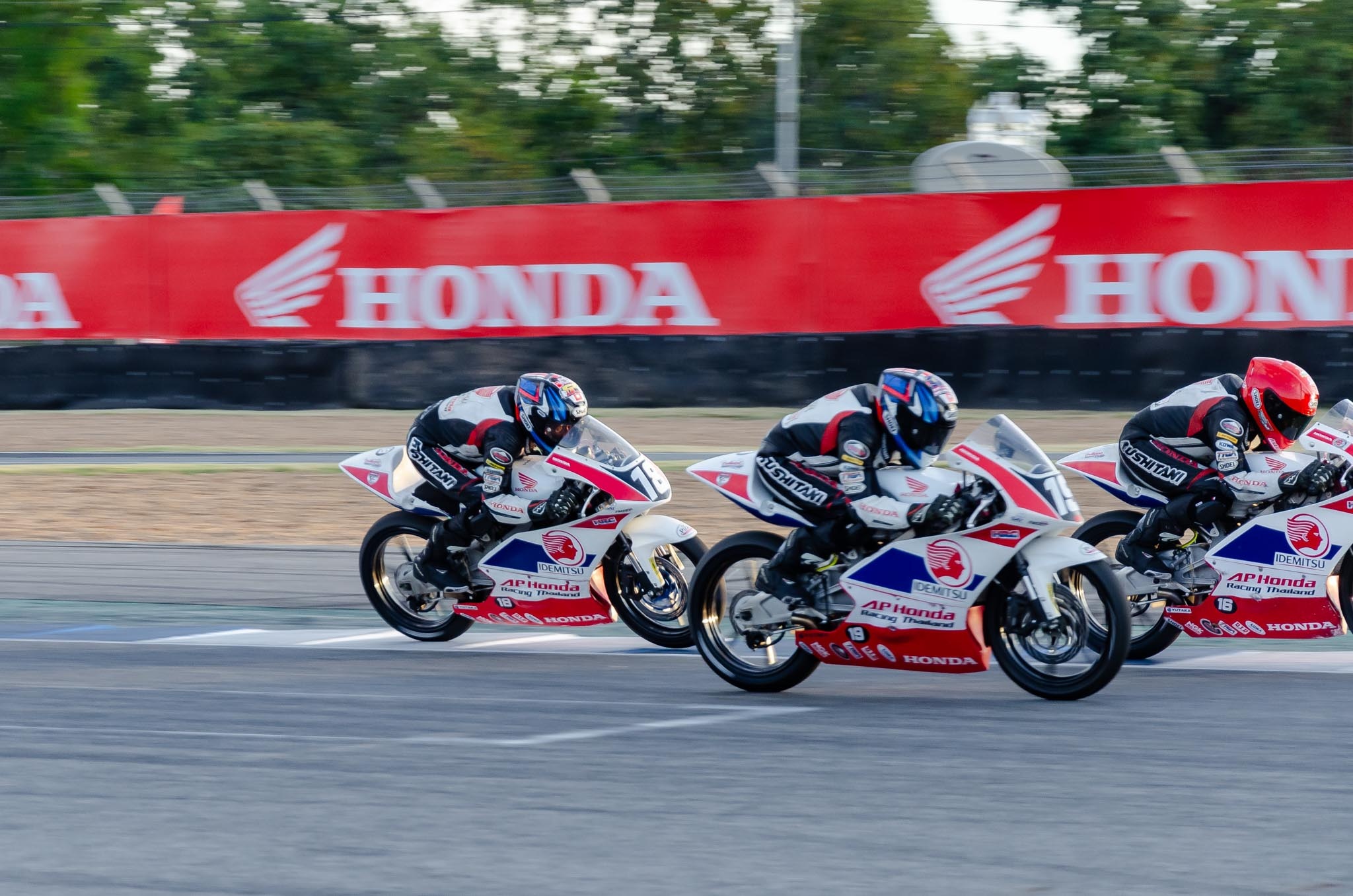 tay dua Cao Viet Nam anh 17