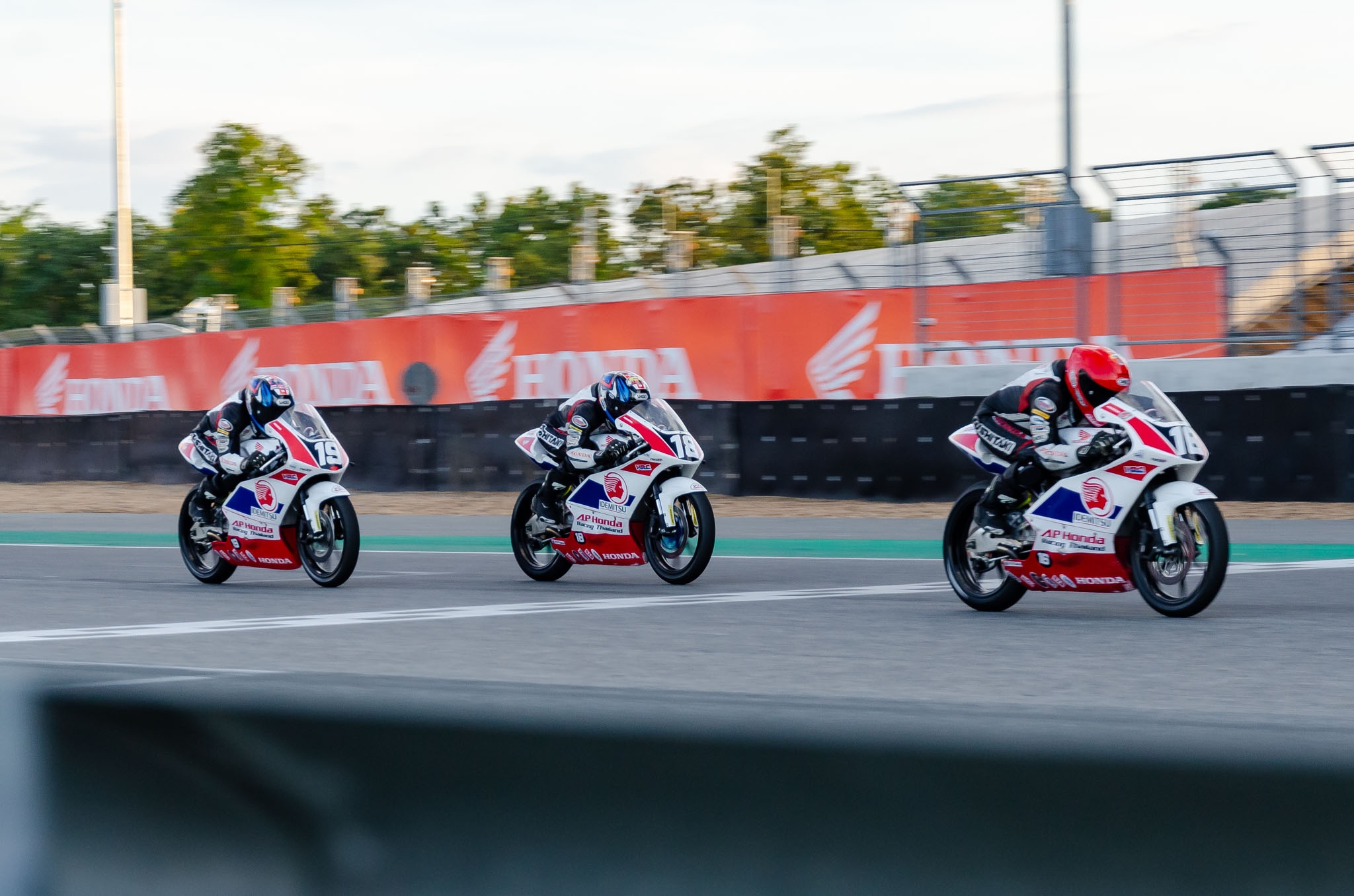 tay dua Cao Viet Nam anh 18