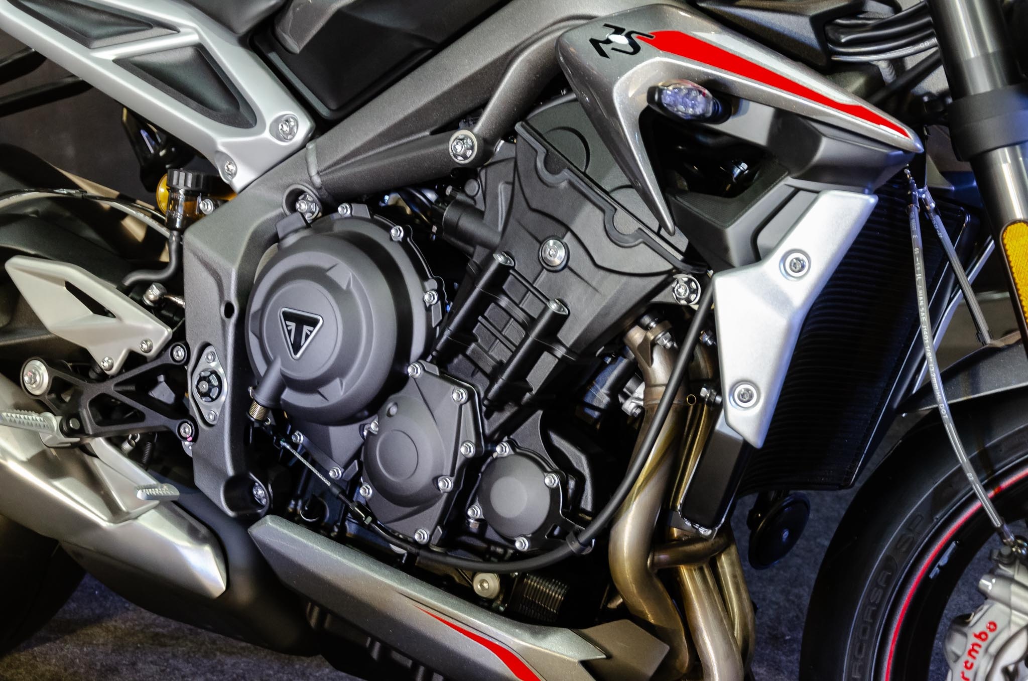 gia xe Triumph anh 13