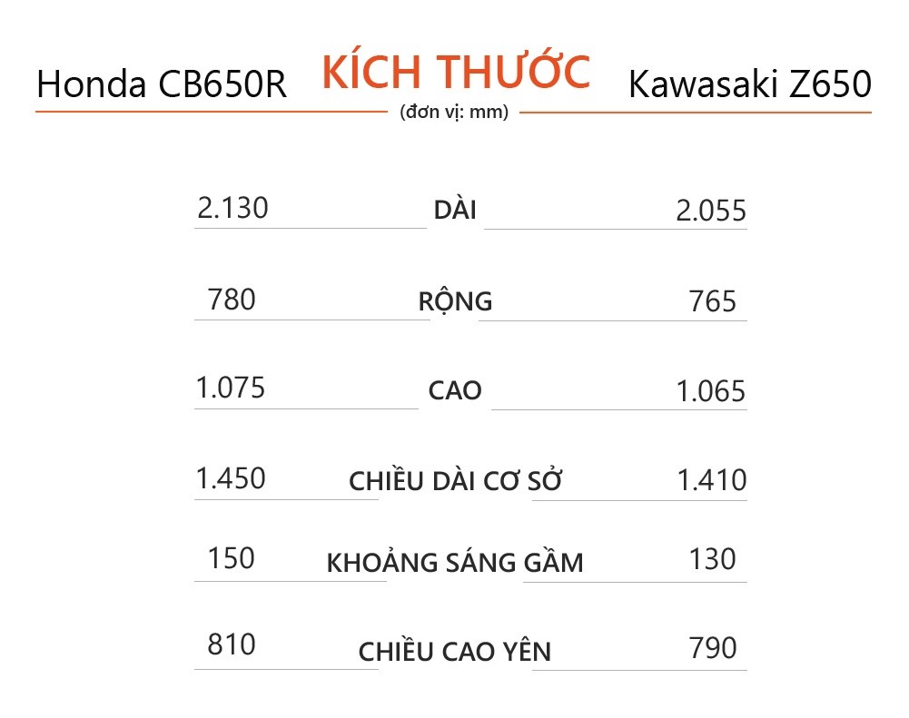 nakedbike 650 cc anh 9