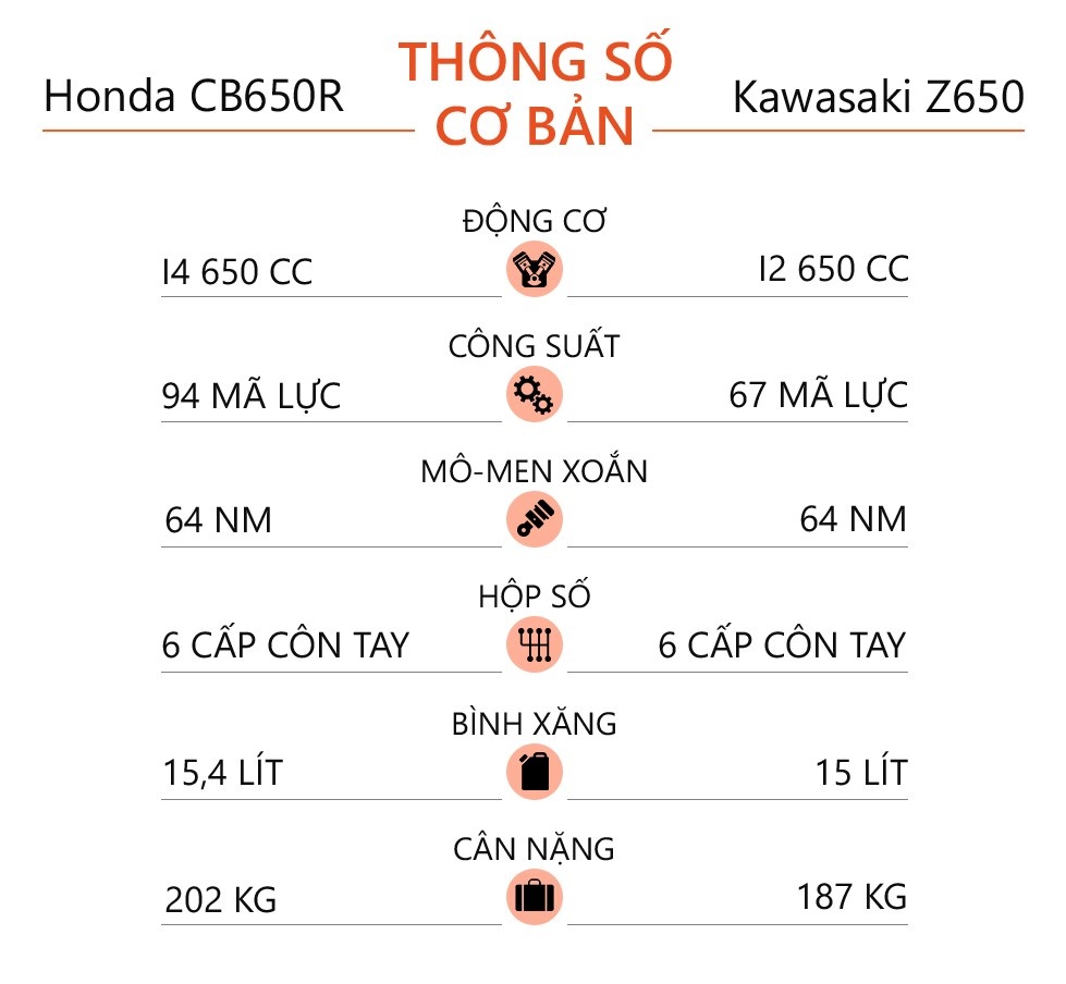 nakedbike 650 cc anh 10