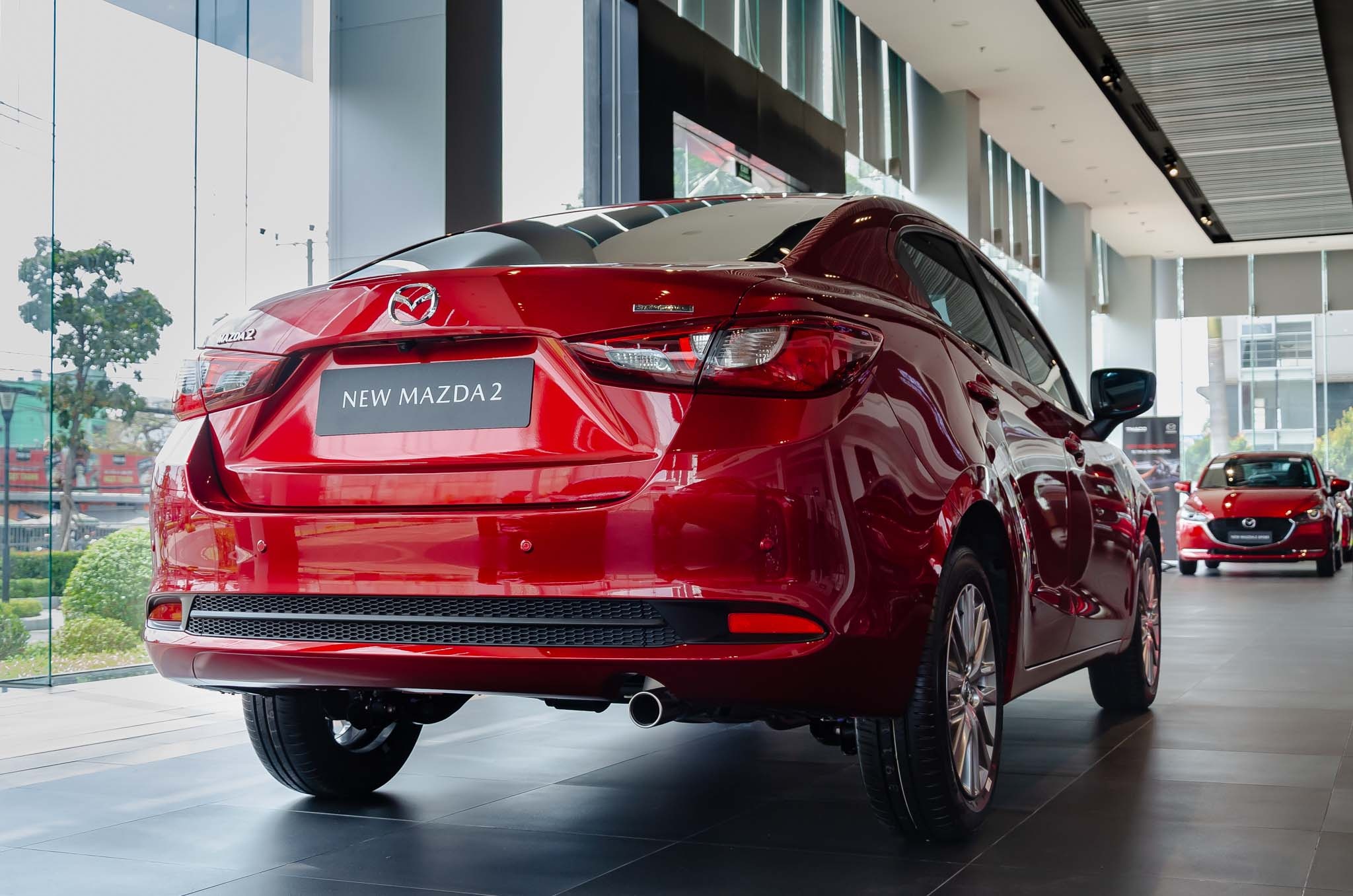 uu dai phi truoc ba anh 12