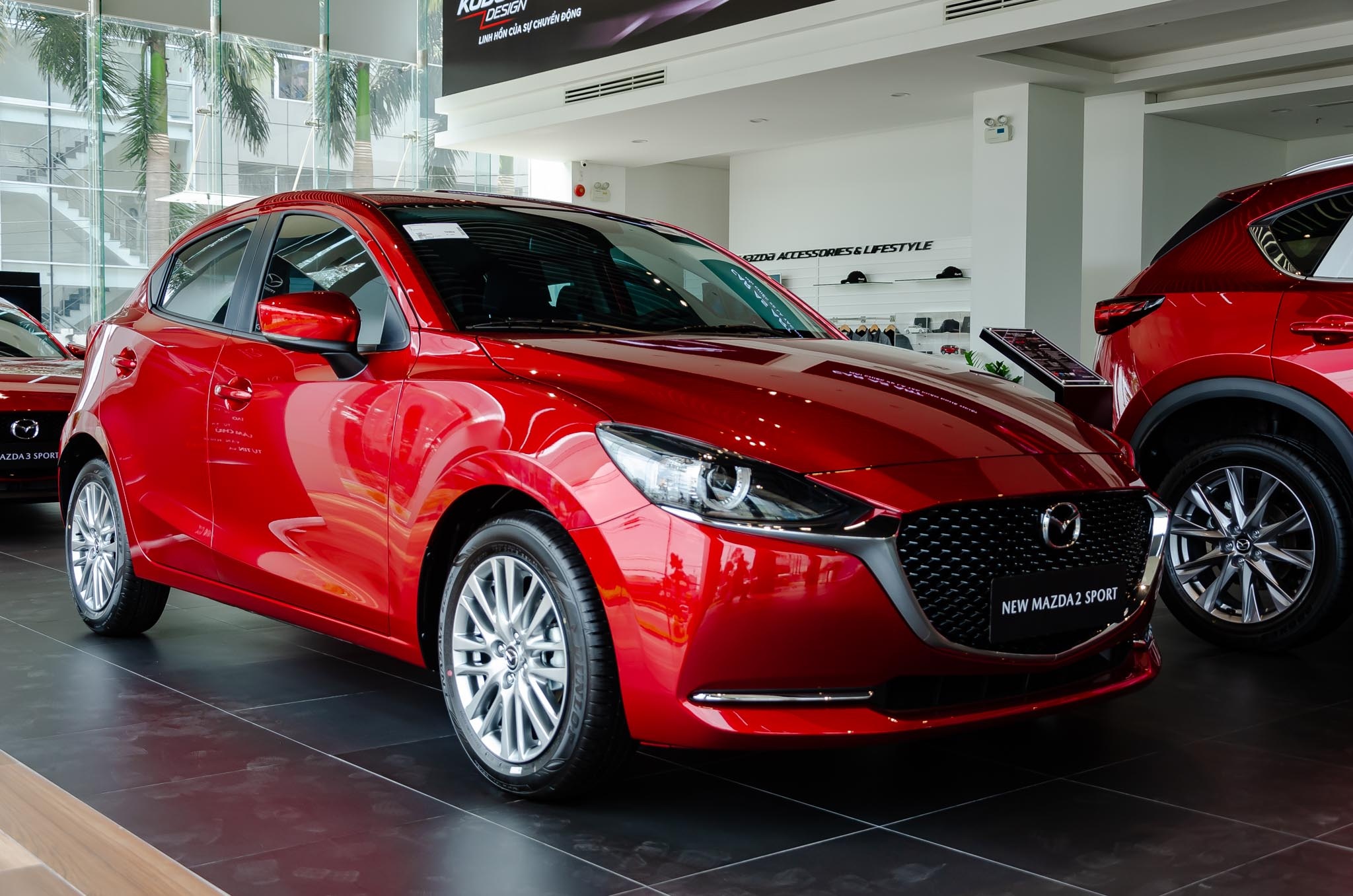 hatchback hạng B ảnh 4 hatchback hang B anh 4