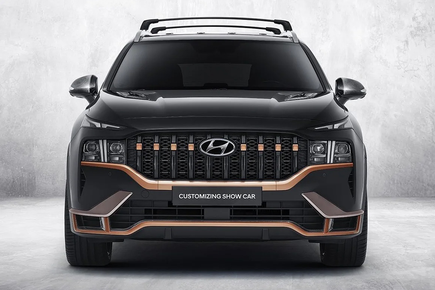 Hyundai Santa Fe 2021 anh 3