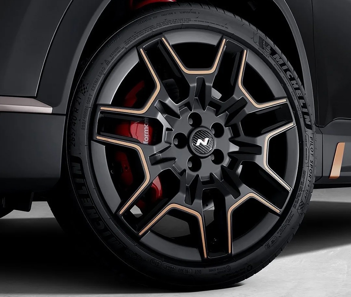 Hyundai Santa Fe 2021 anh 6