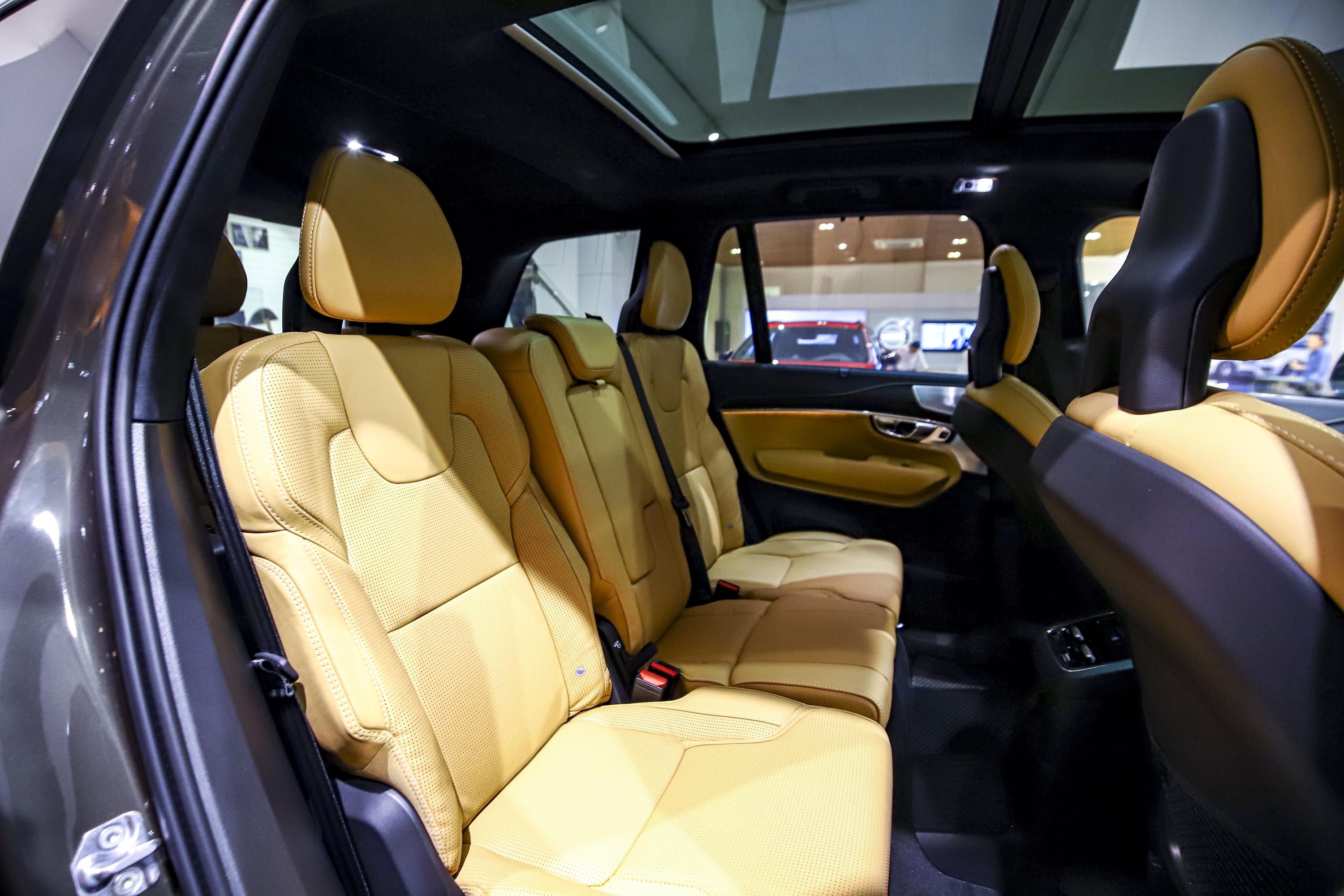 SUV 4 ty dong anh 10