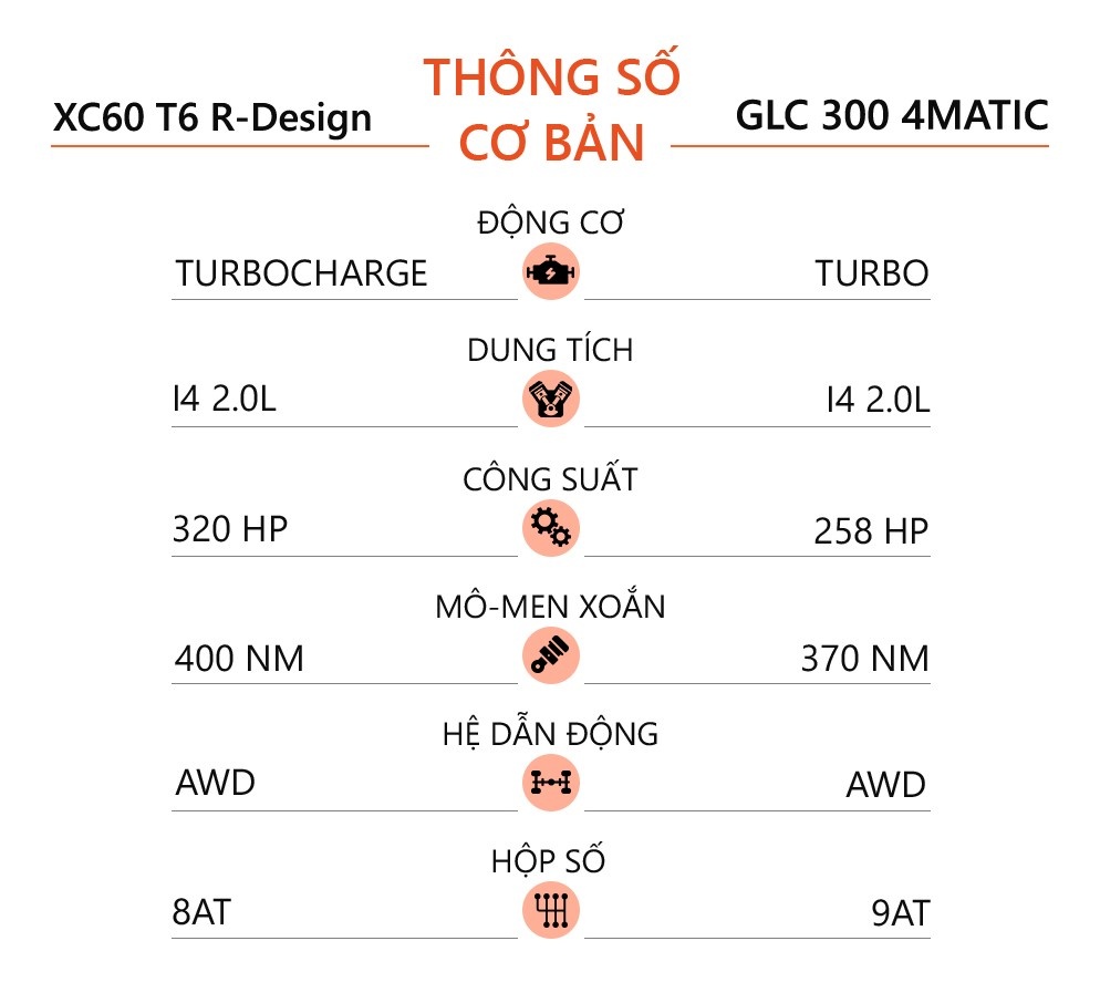 SUV hang sang tam 2 ty dong anh 10