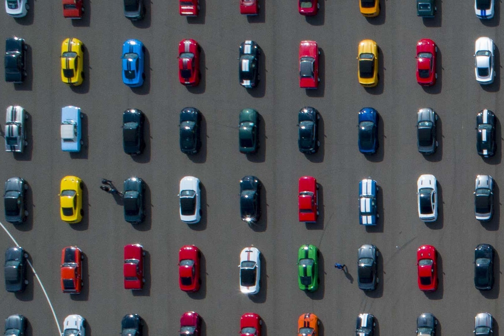 Mau son oto ngay cang don dieu hinh anh