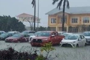 Xac minh vu dai ly Toyota ban xe tung bi ngap nuoc hinh anh