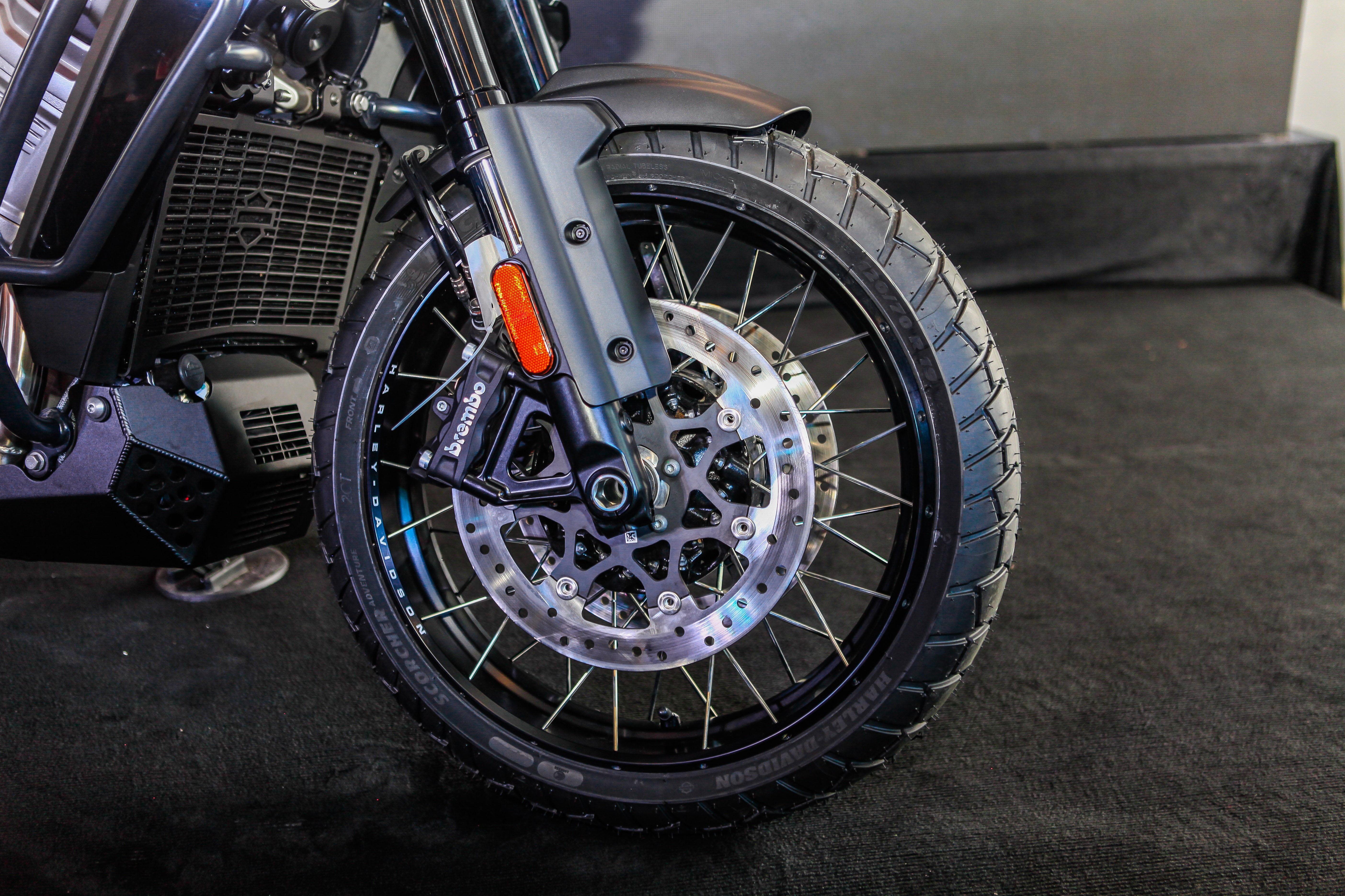 Harley-Davidson Pan America 1250 anh 7