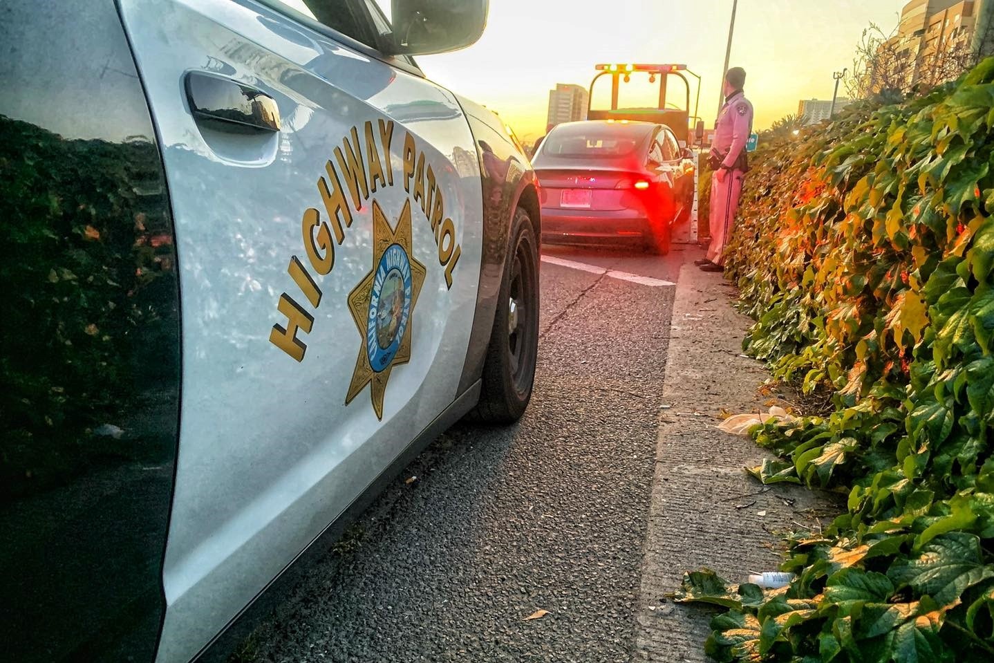 Bi canh sat bat vi de xe Tesla tu lai tren xa lo hinh anh