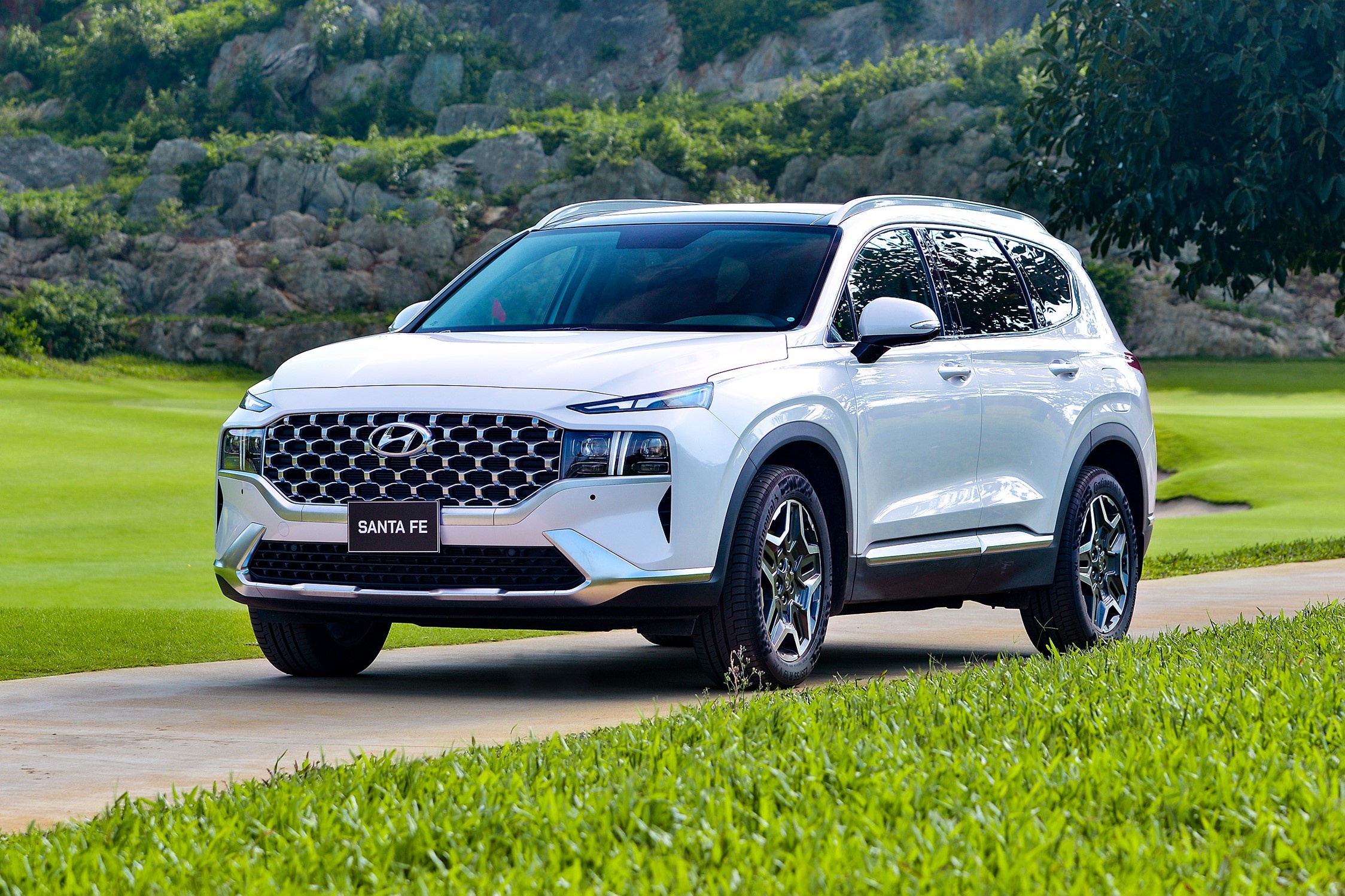 Loat xe gam cao ham nong thi truong oto Viet Nam hinh anh