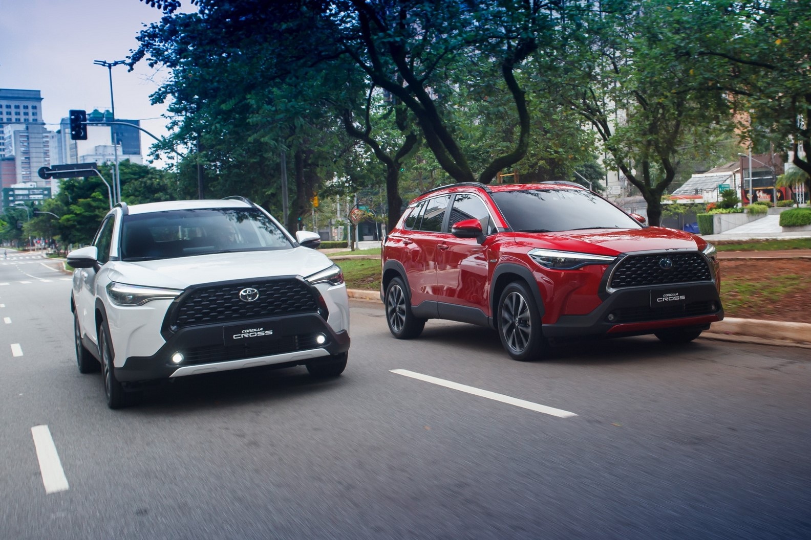 Nong dan co the dung ngo de mua Toyota Corolla Cross tai Brazil hinh anh