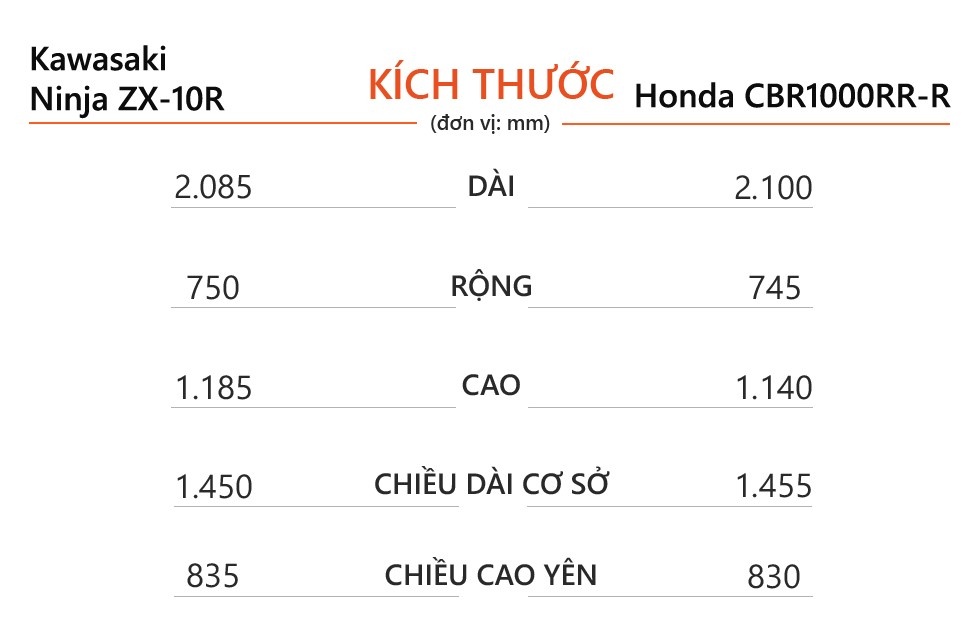 Sportbike 1.000 cc anh 6